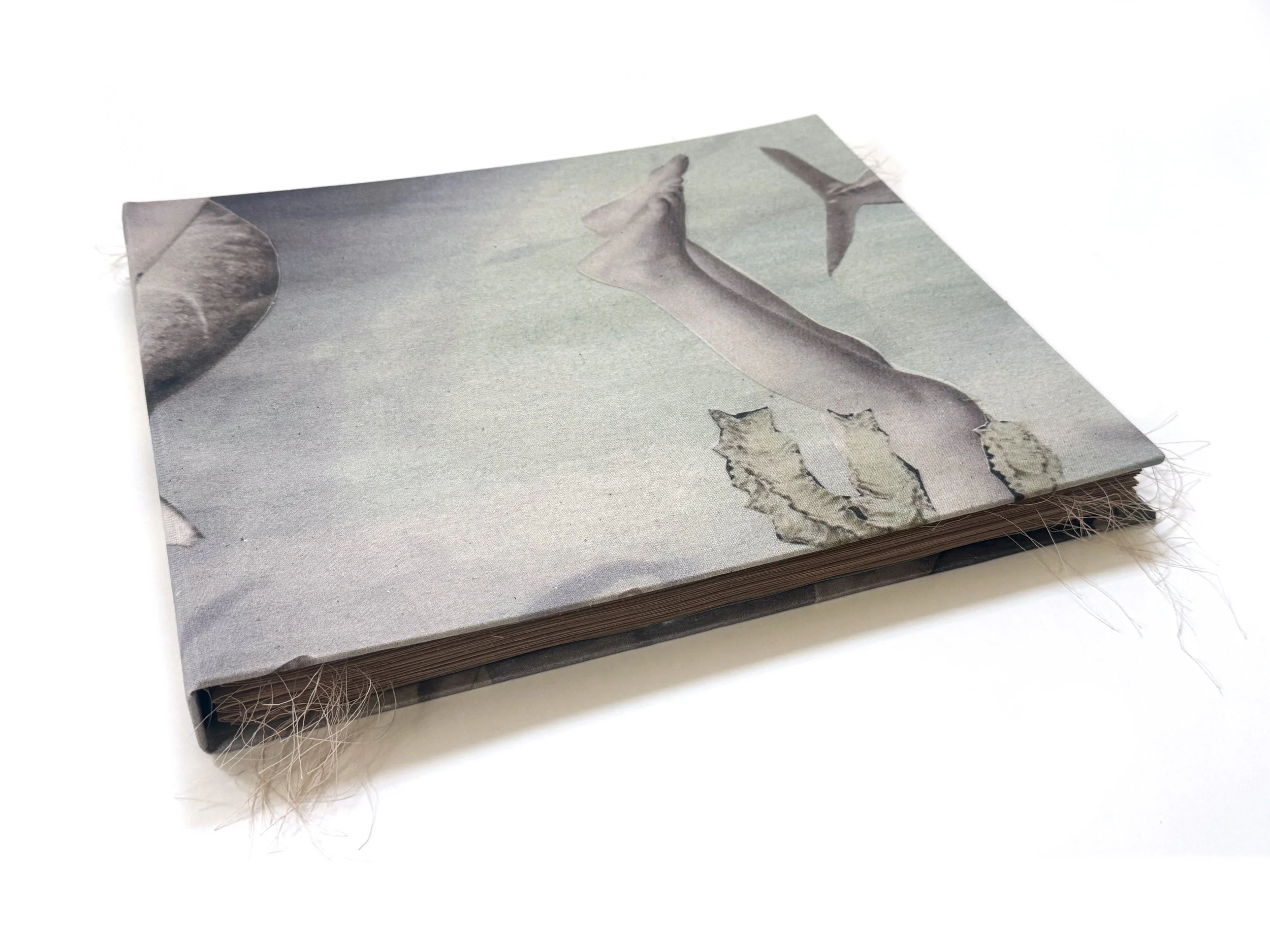 Lee and the Sea Things - Olivia Arthur - Artist Edition