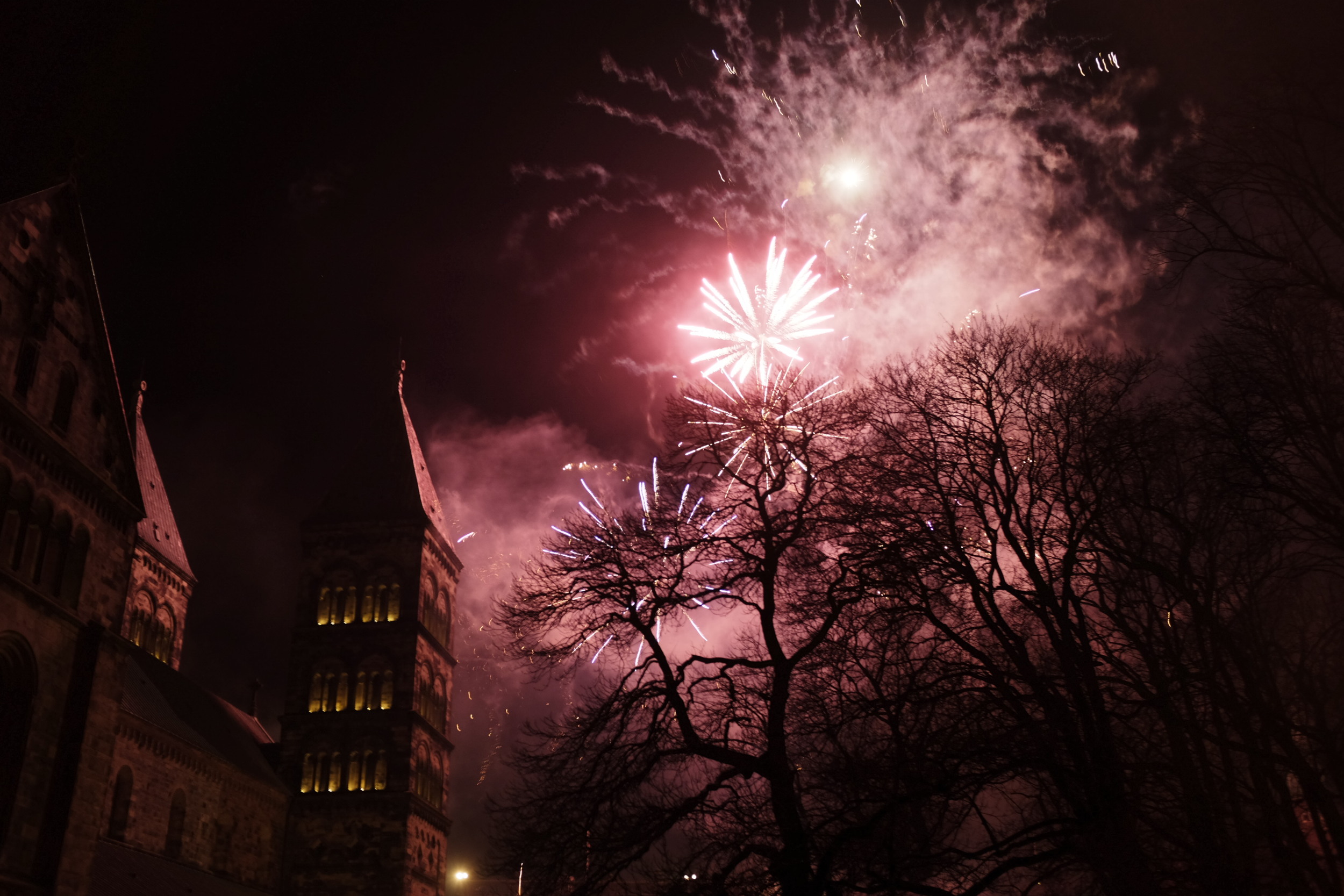 Nytt år, ny hemsida och bättre service