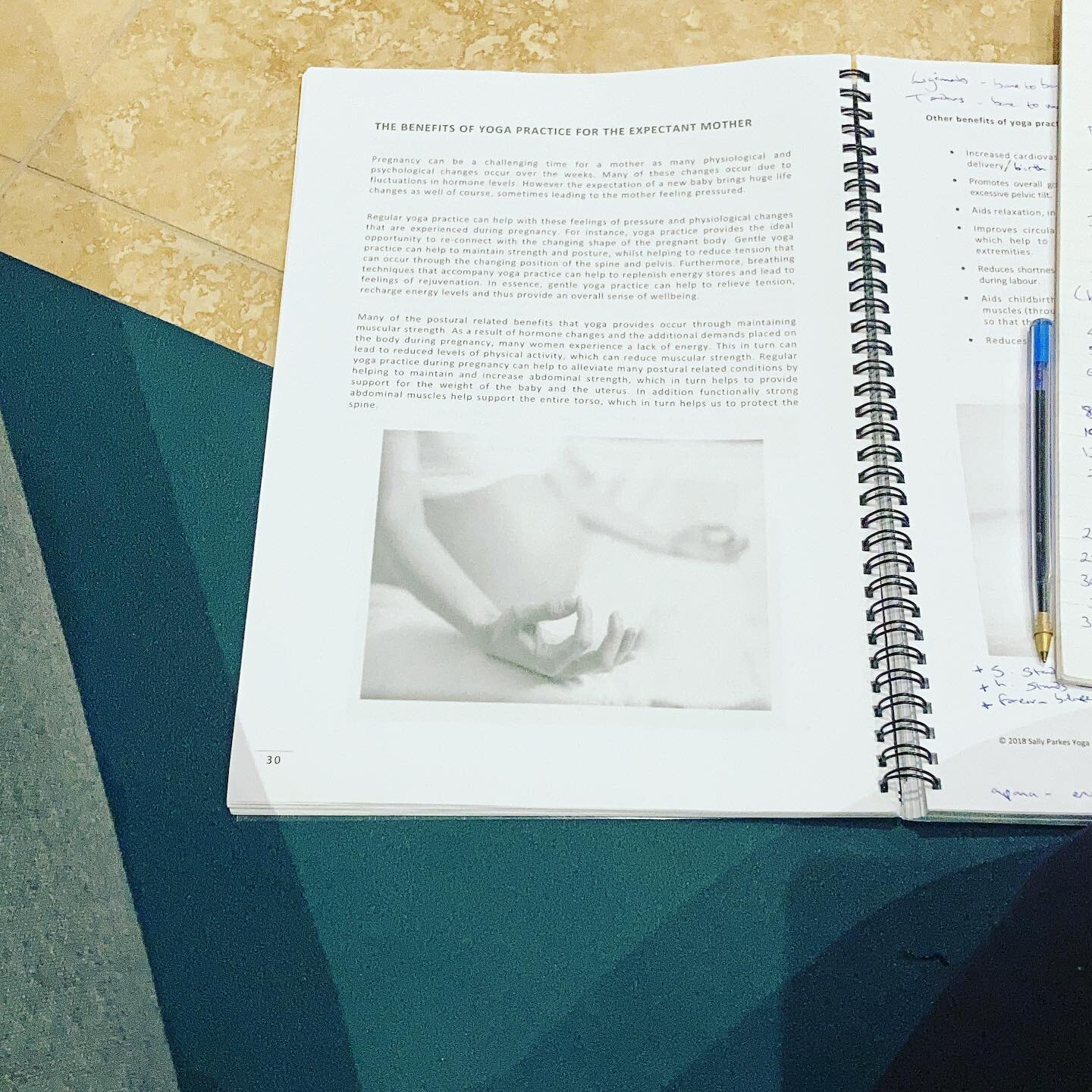 Day two with @sallyparkespregnancyyoga  and the stages of conception and stages of labour are so fascinating ✨✨✨ #pregnancy #pregnancyyoga #teachertraining #onlinetraining #alwayslearning #knowledgeispower #yogateacher