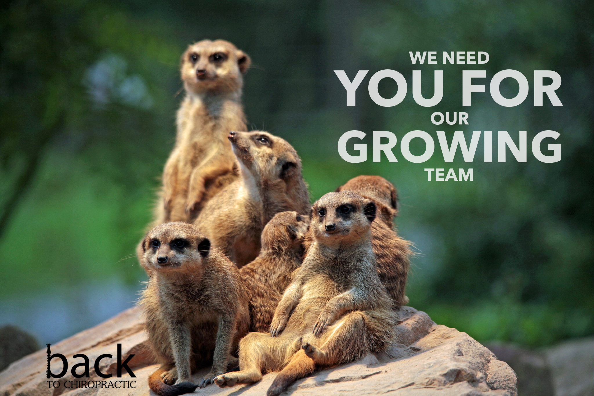 join-our-team.jpg
