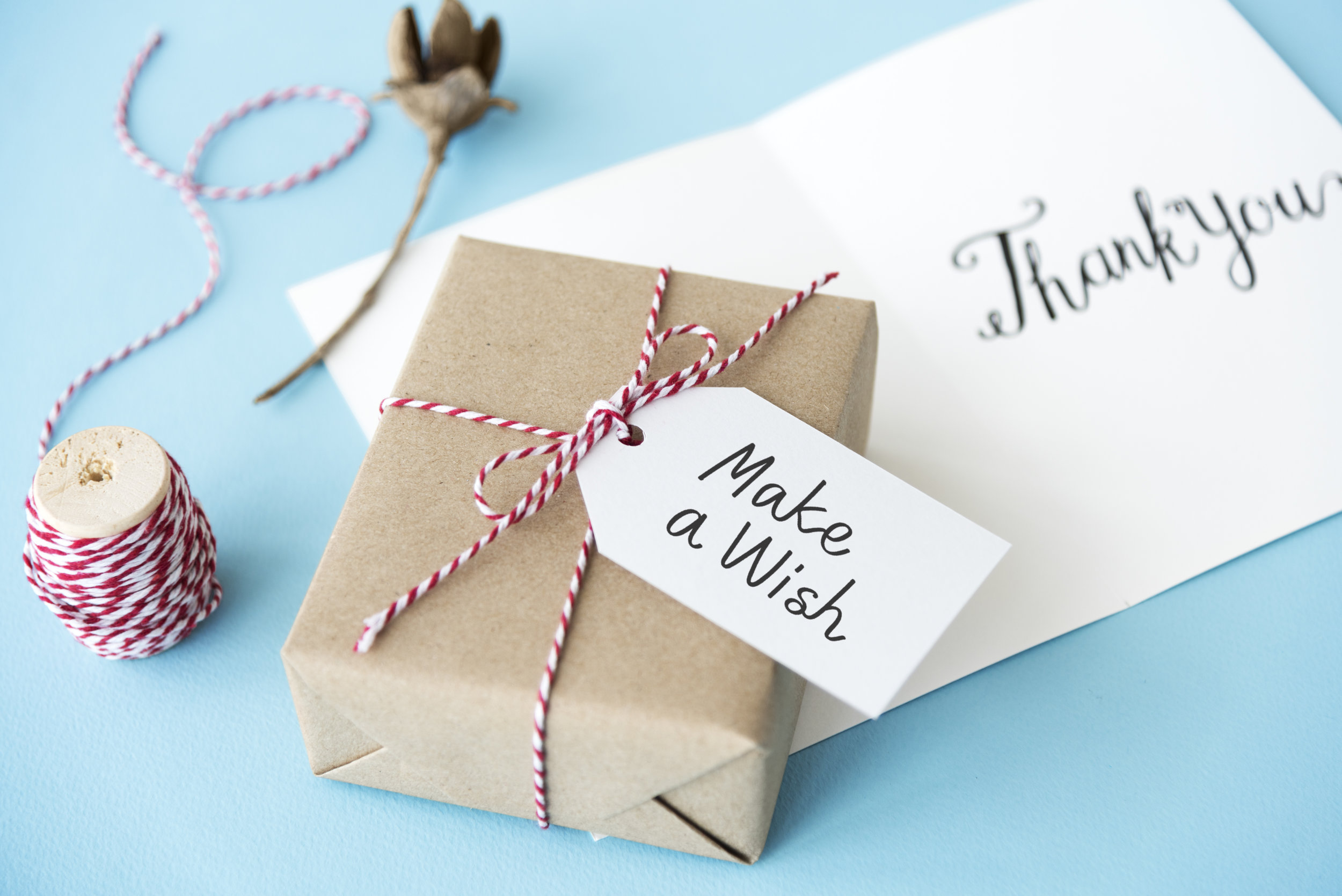 Thank You Gratitude Marci Gracias Danke Concept