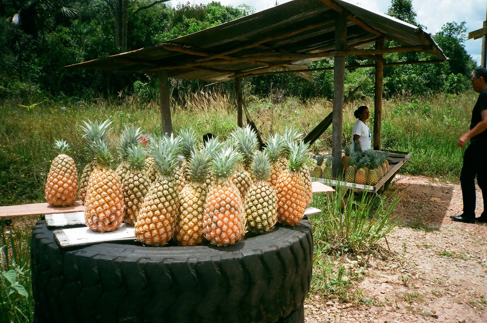 Pineapples and Tires.jpeg