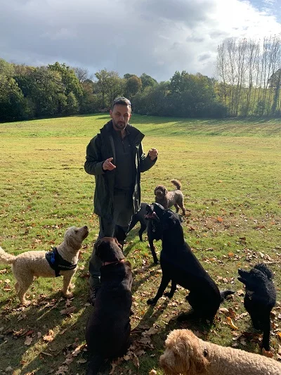 James during his work day with Walkies and Paws