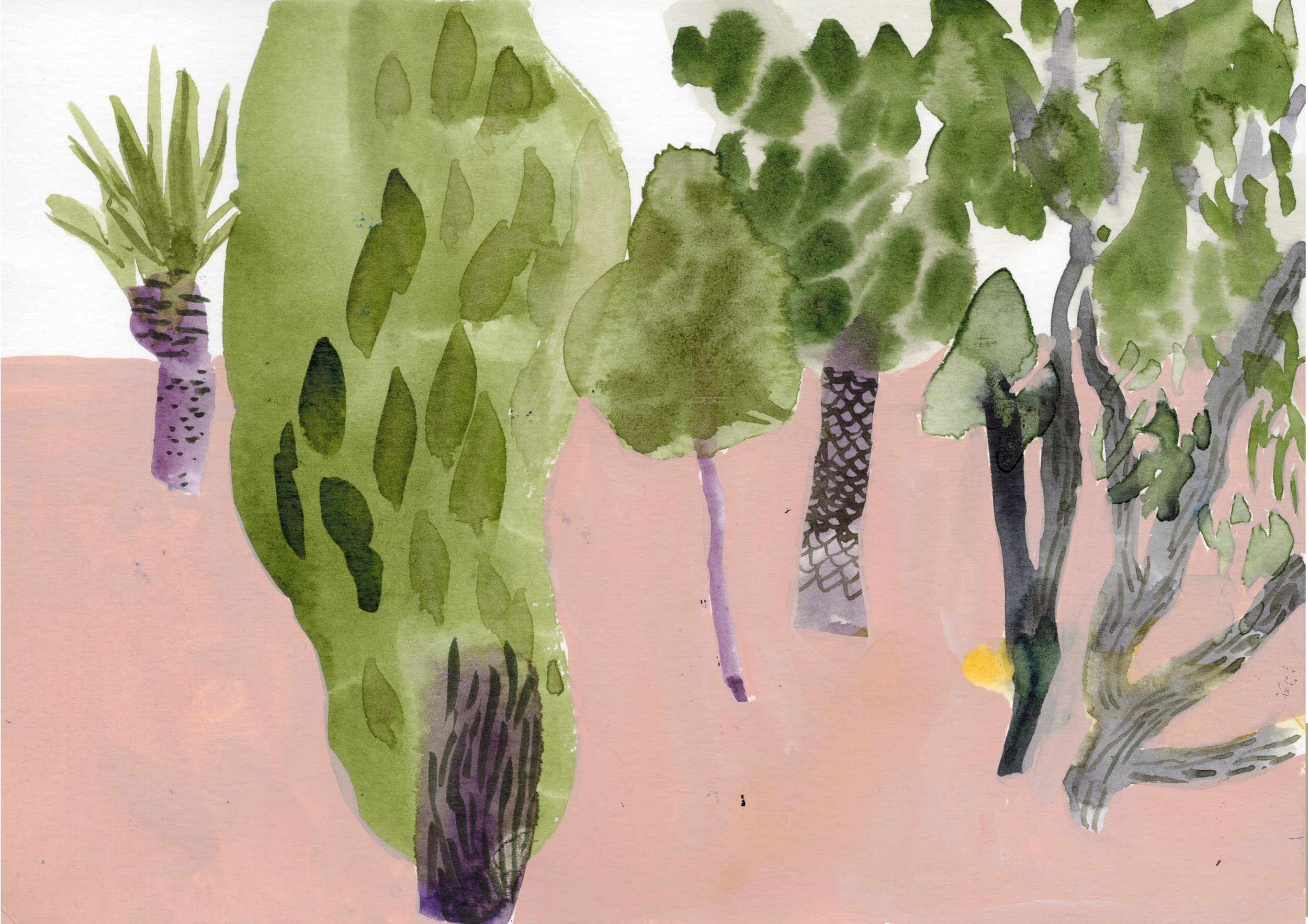Jardin des Douars