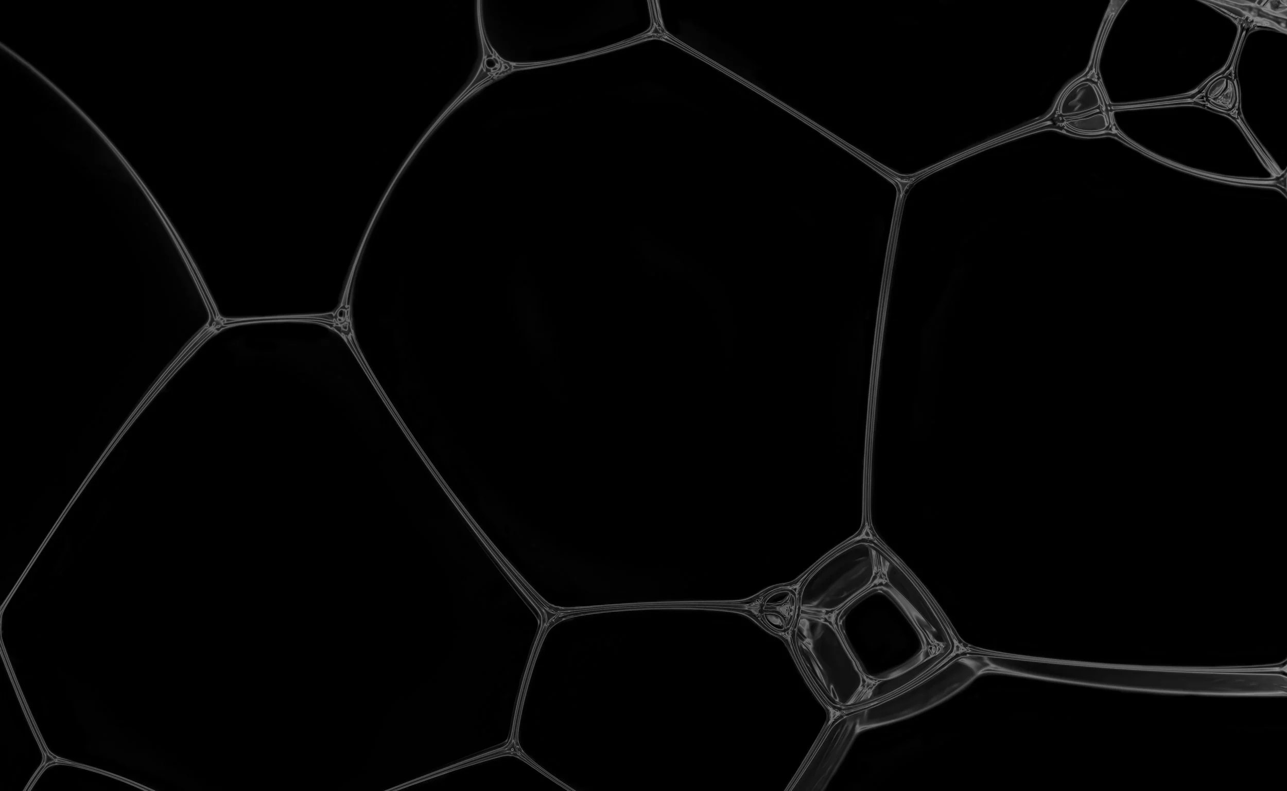 Nexus no.1 (b)