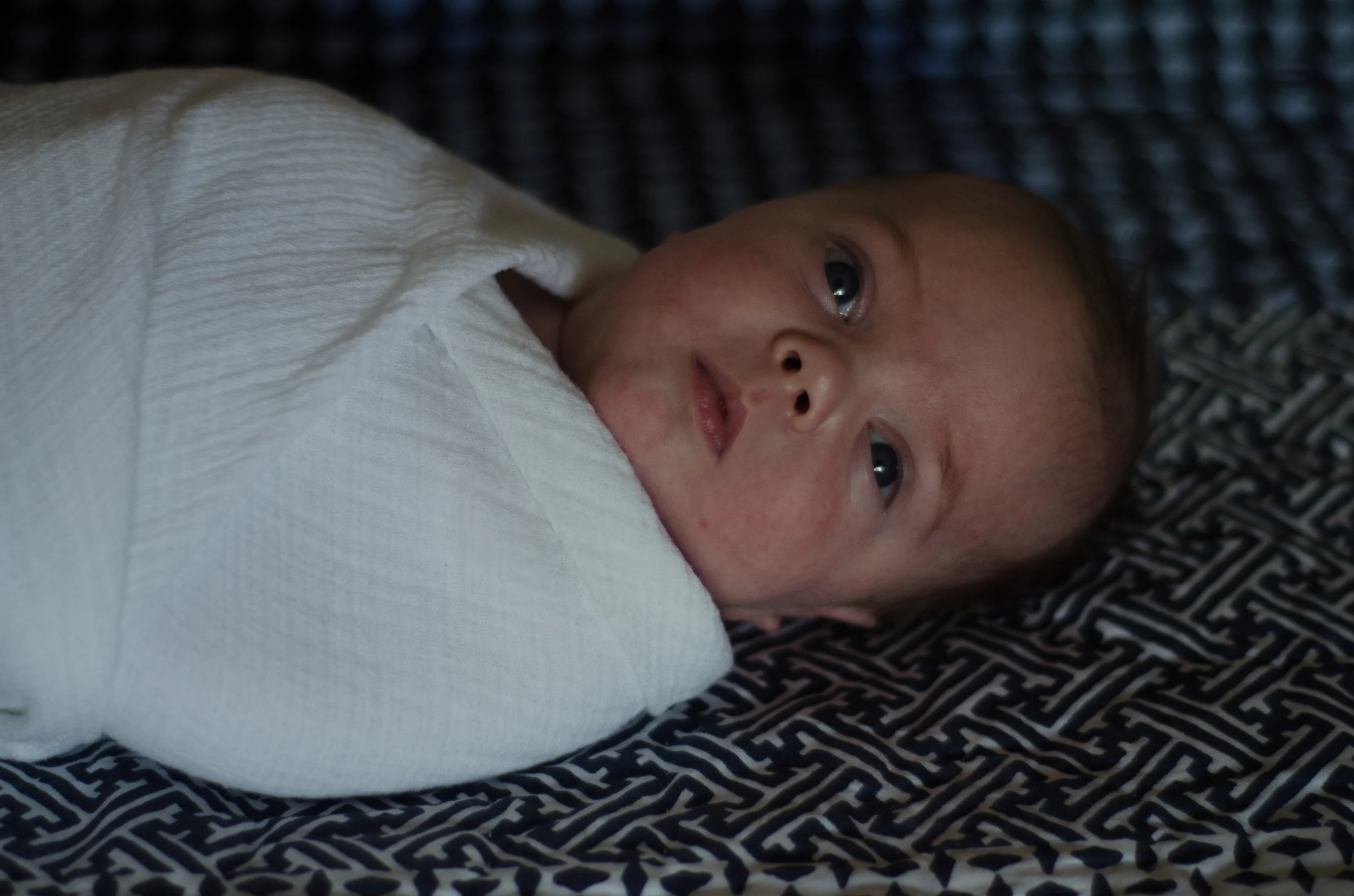2016-03-13 - AML - AML_9282.jpg