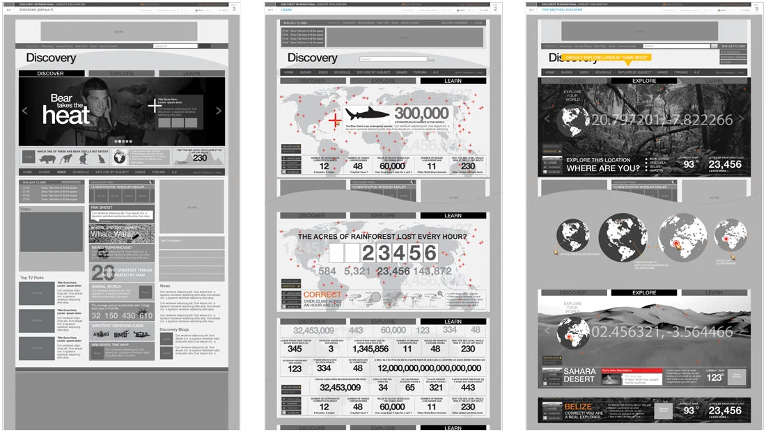portfolio_discovery_image_1.jpg