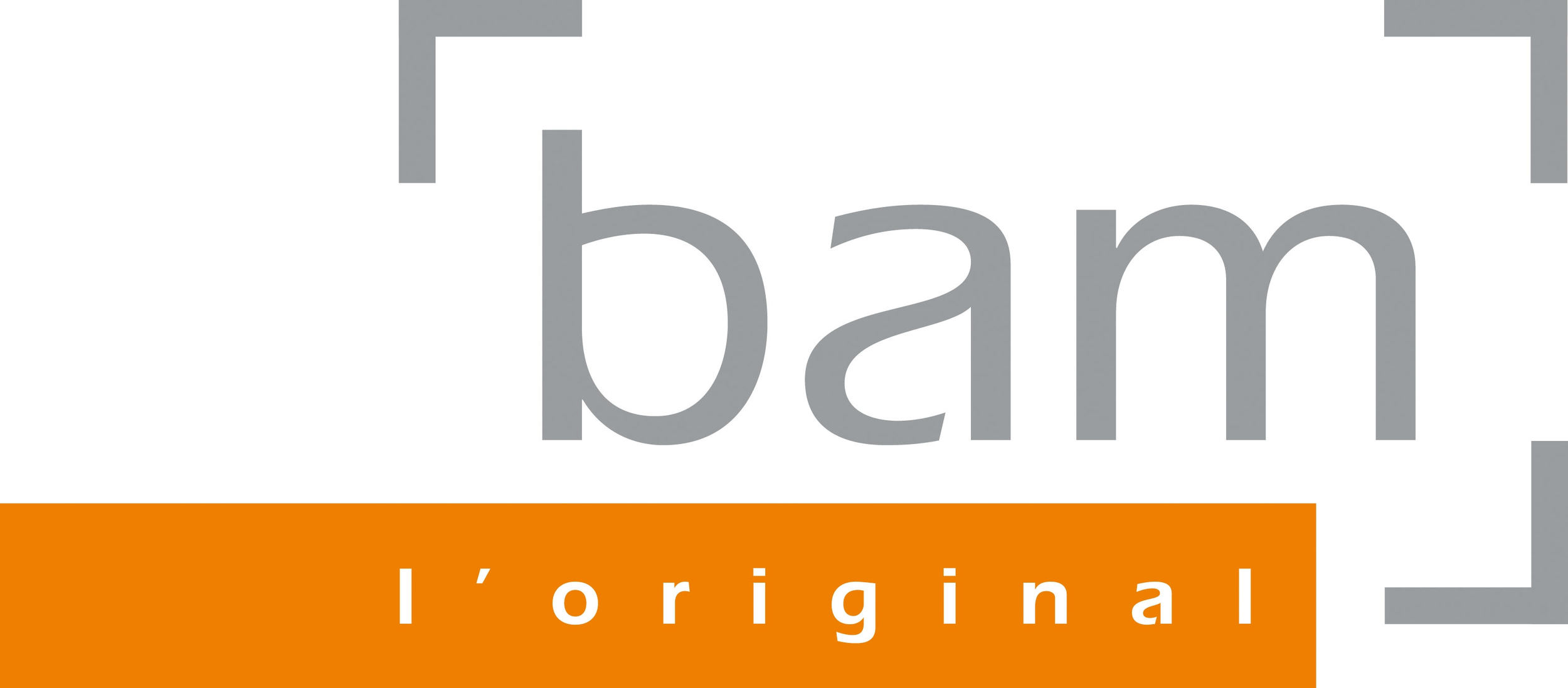 BAM logo.jpg