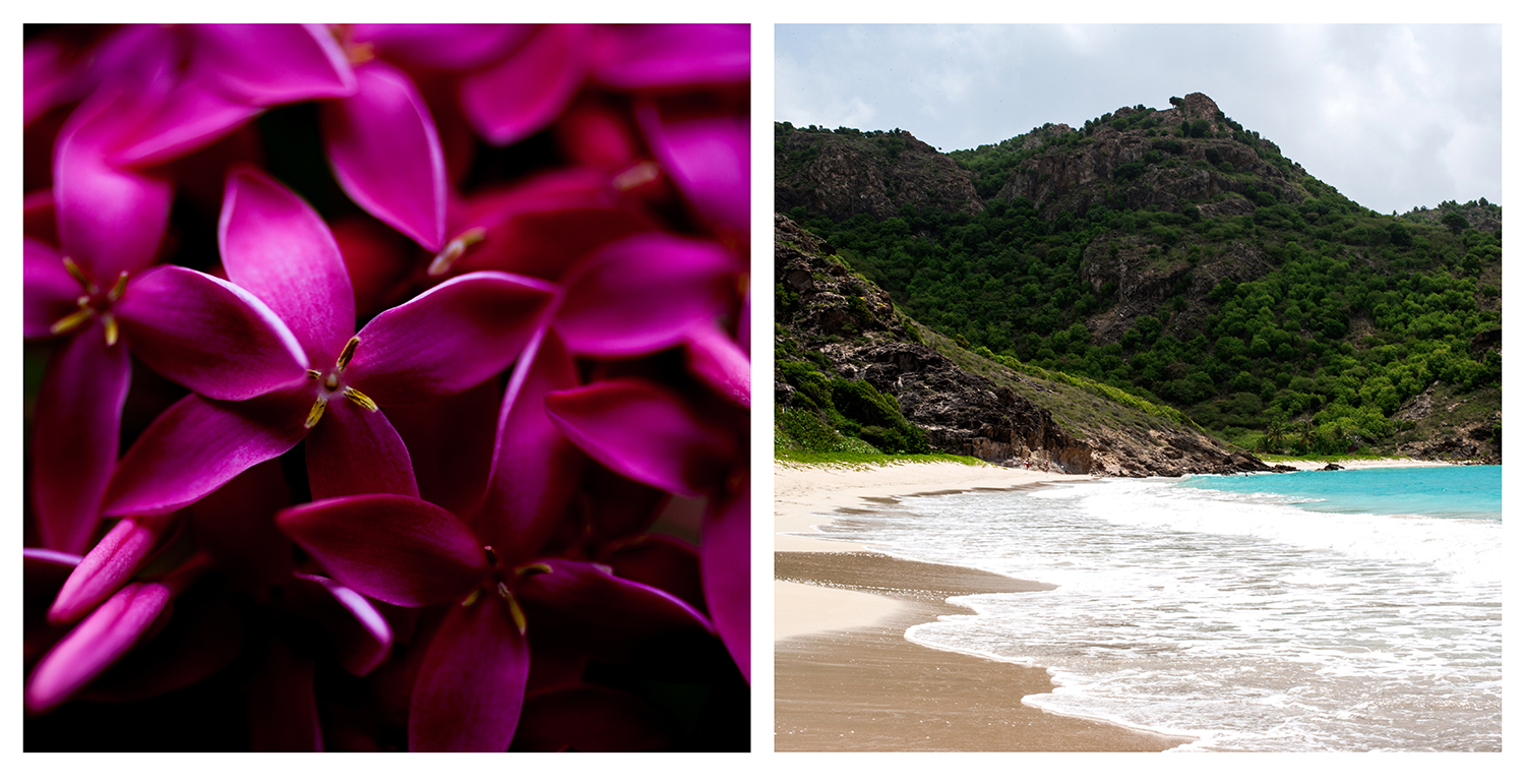 StBarths_spread_12_ss.jpg