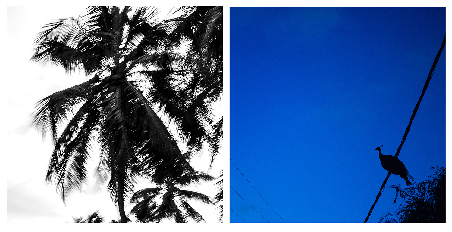 StBarths_Spread-alternates-14_ss.jpg