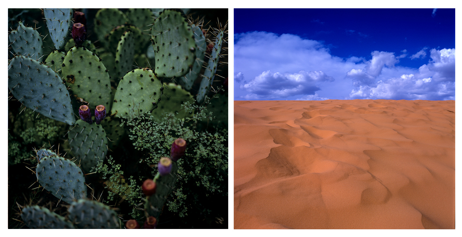 Arizona_spread_9_NEWSCAN_ss.jpg
