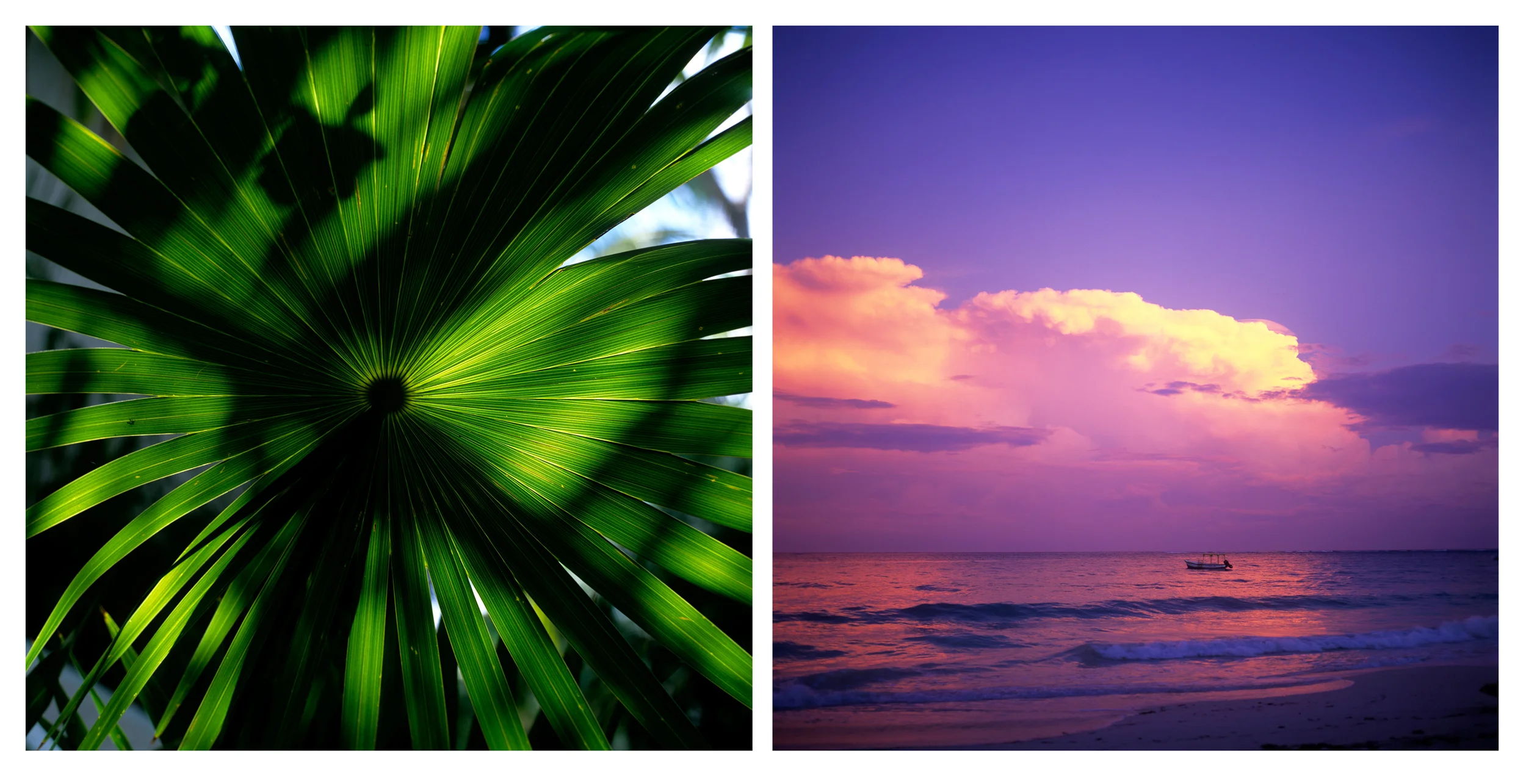 Riviera_maya_spread_extra01b.jpg