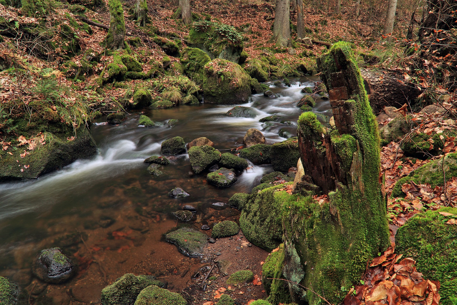 torrent-548367_1920.jpg