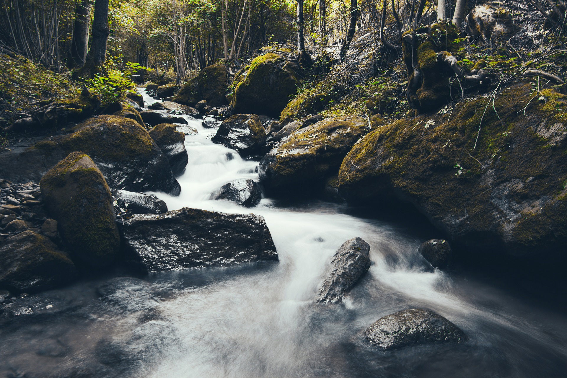 stream-438437_1920.jpg