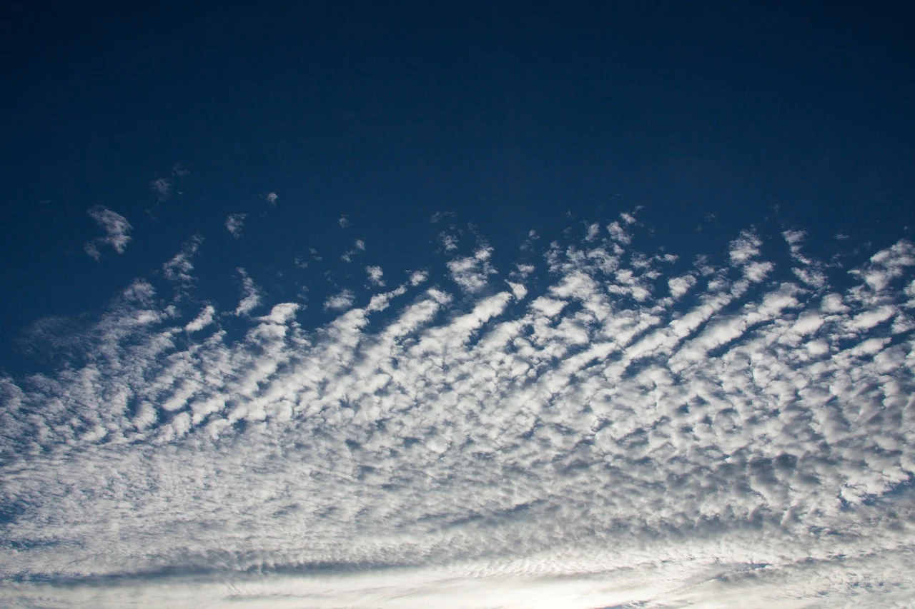 Not under sin's control