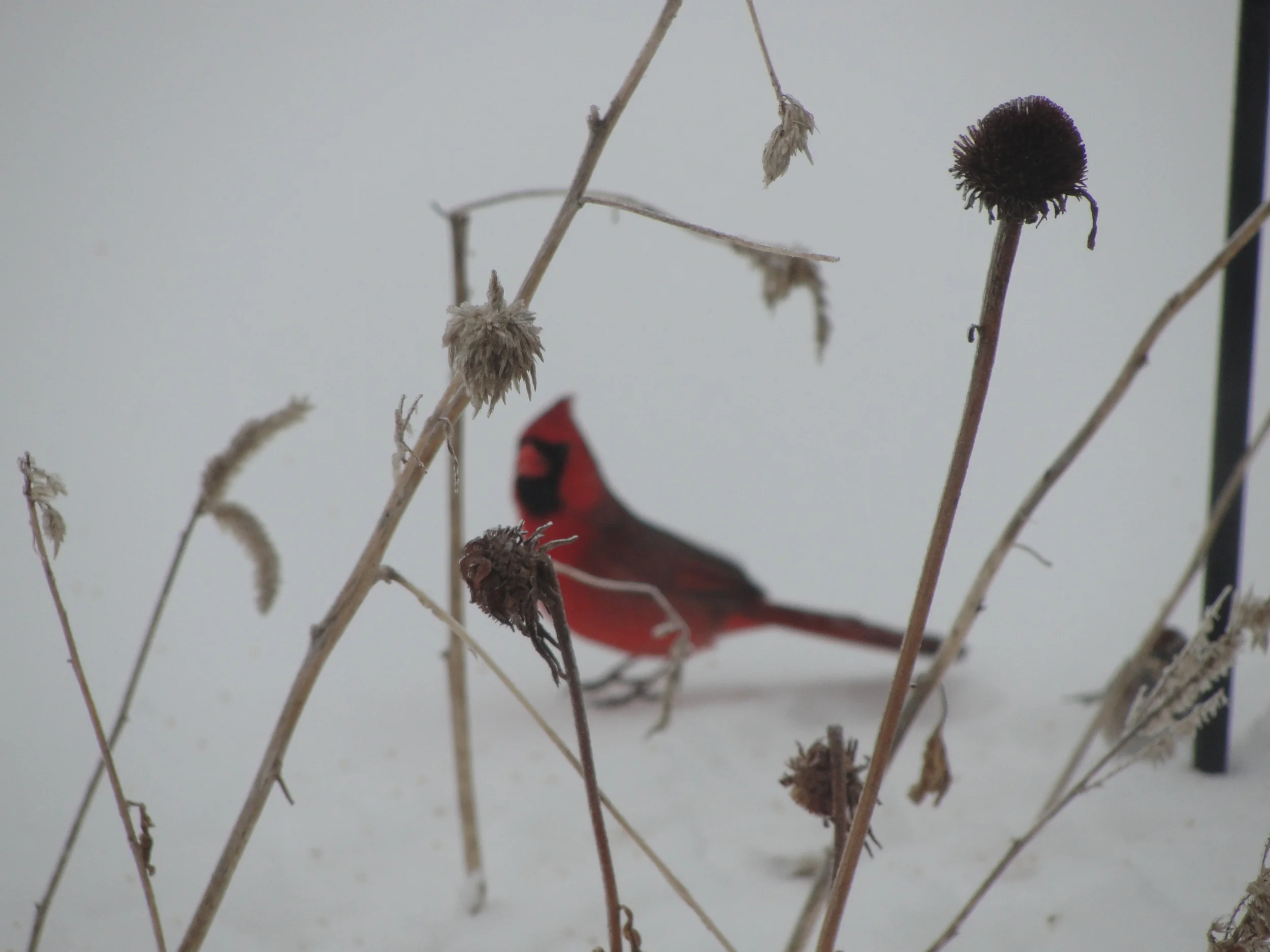 Quick to hear, careful to answer