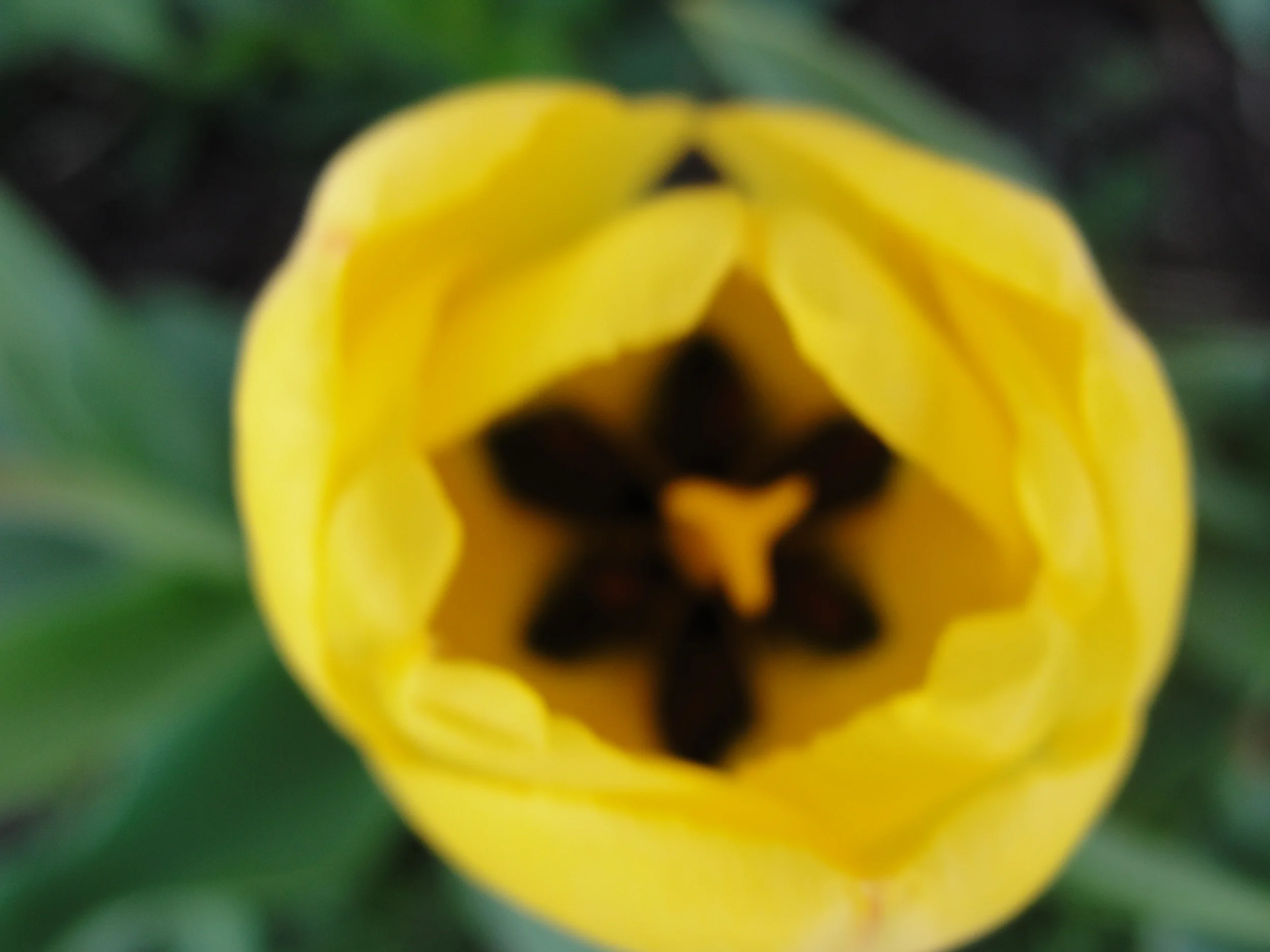 The secret things belong to God