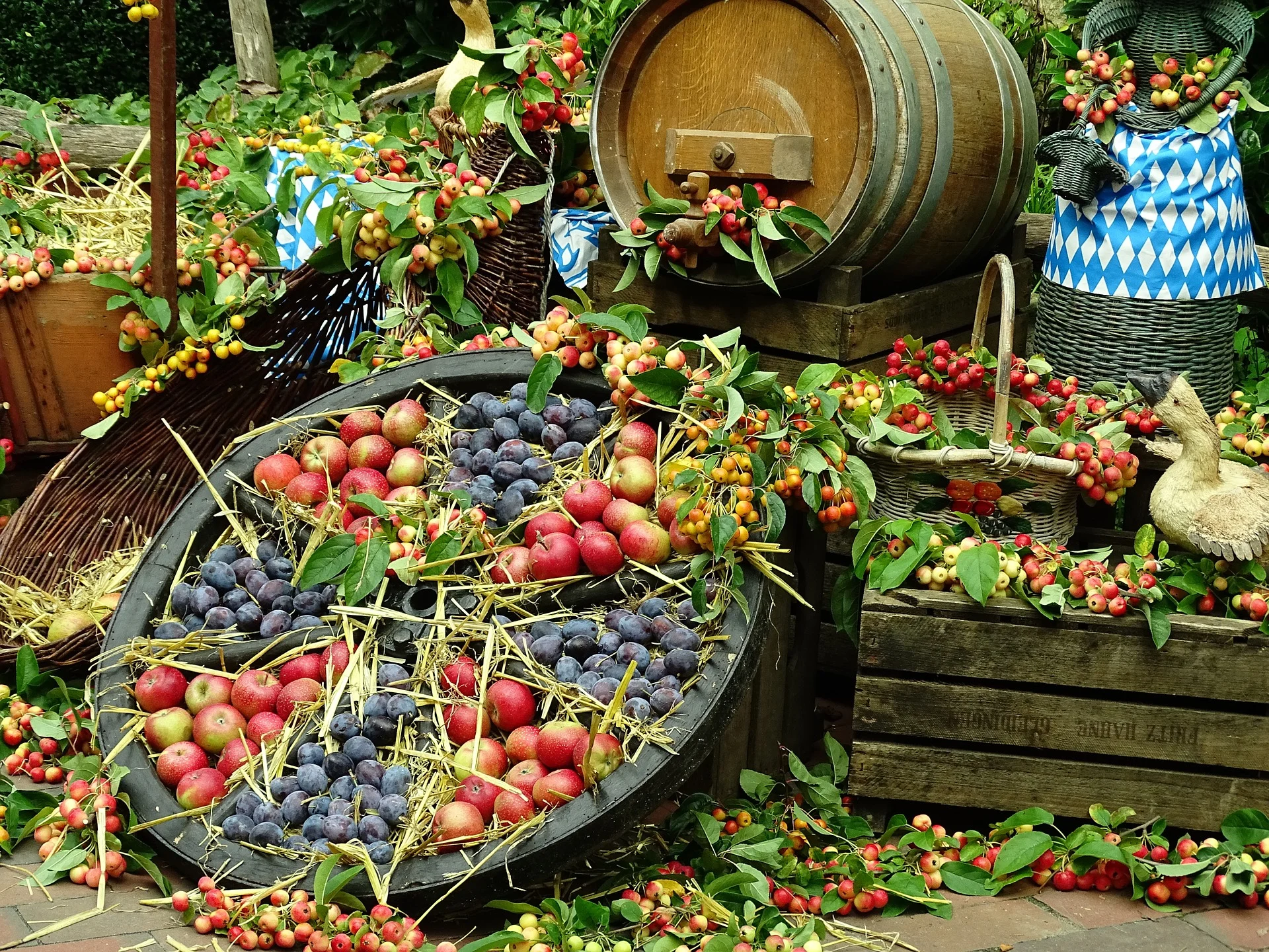 Give thanks to God for all things