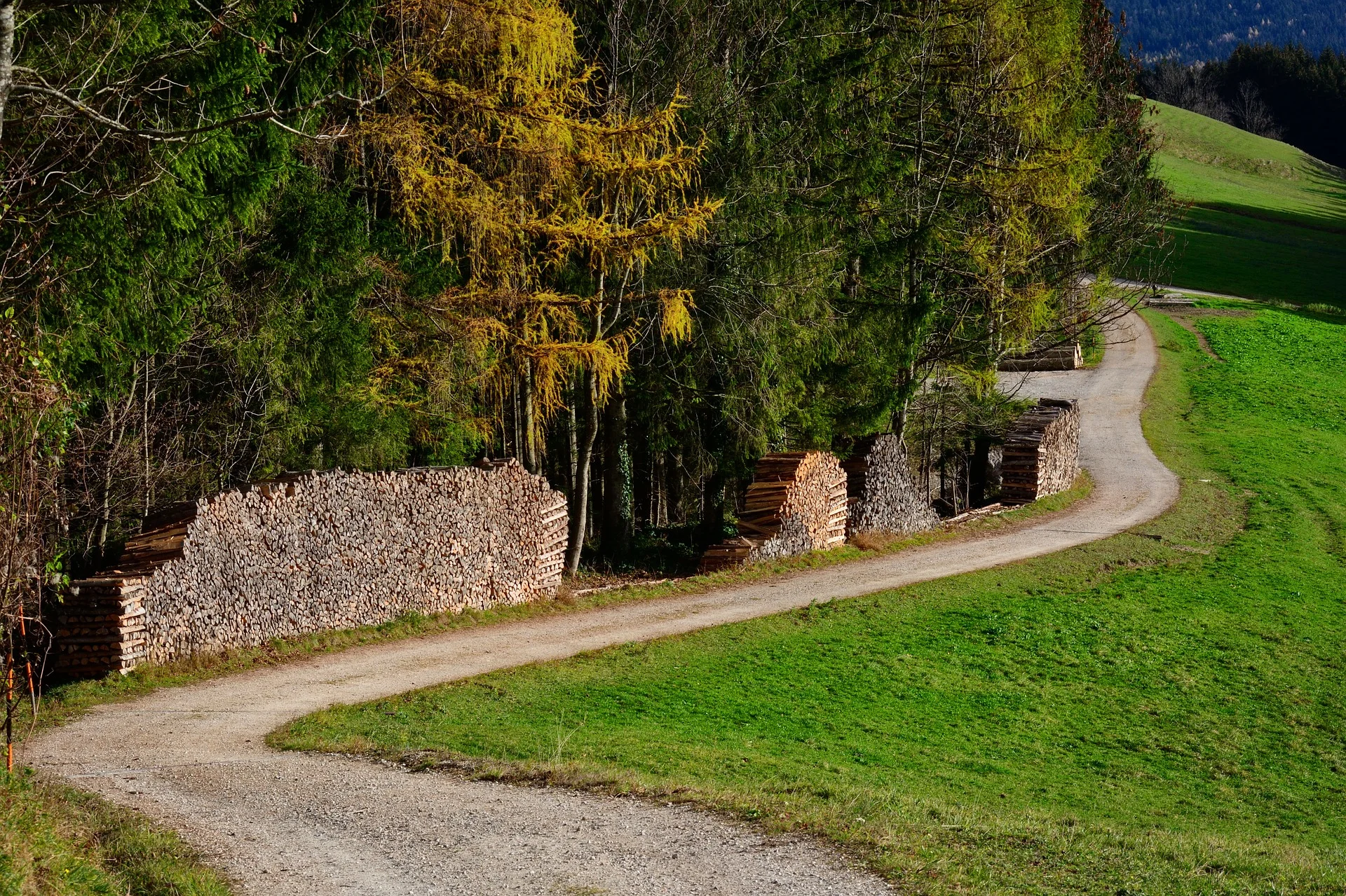 He knows the way I take