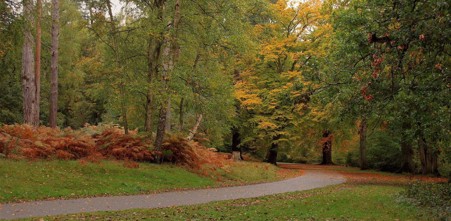 The safe path