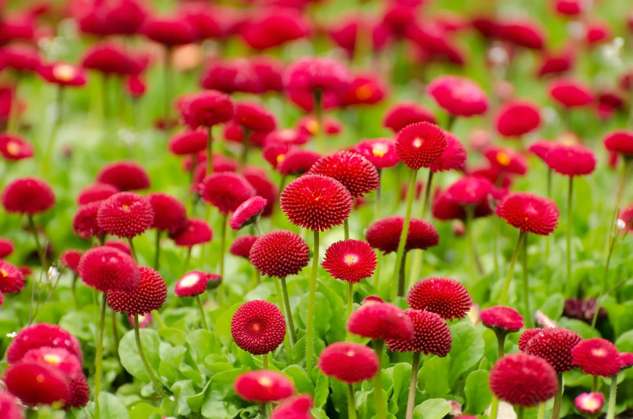Sowing and reaping