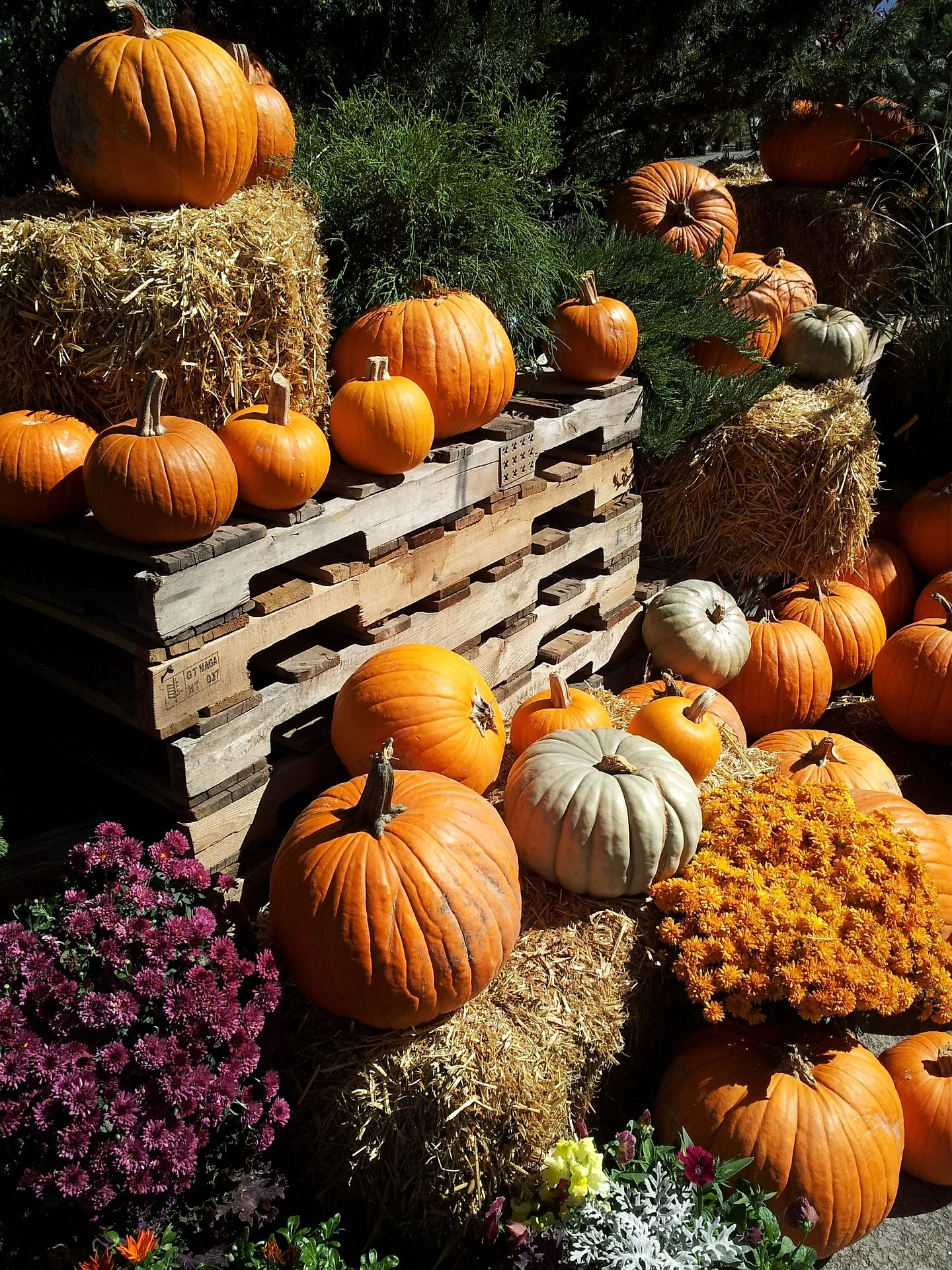 Happy Thanksgiving!
