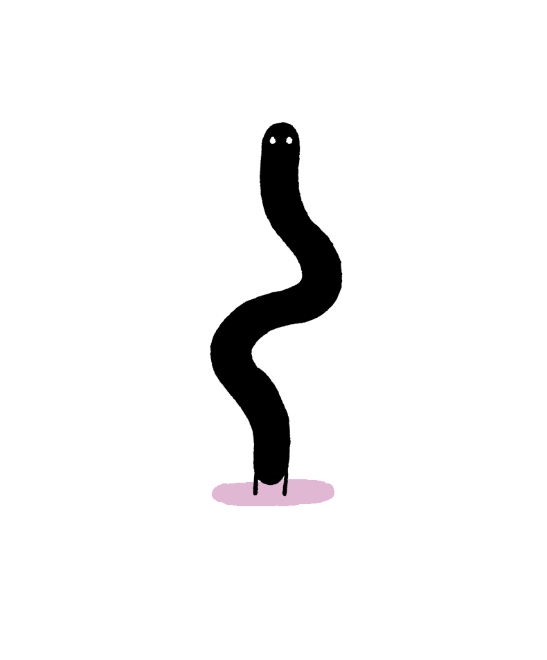 newt.gif
