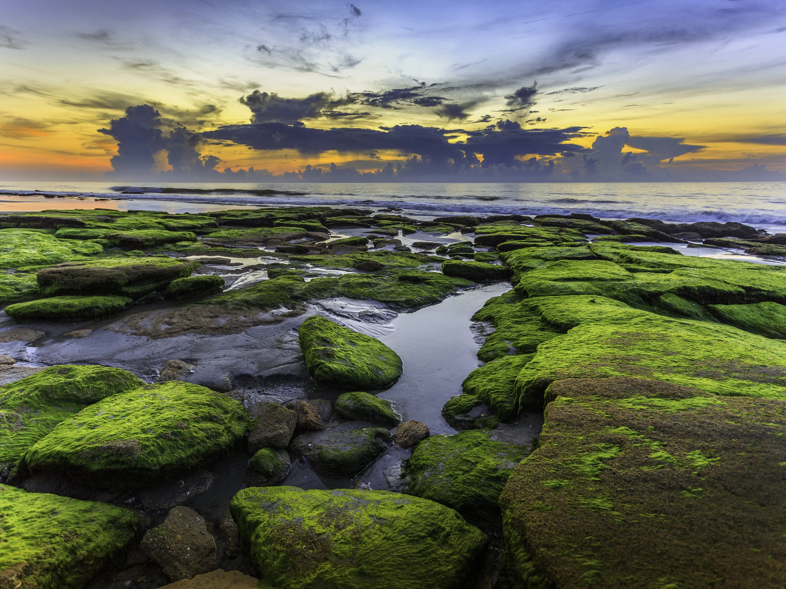 Kure Beach, Coquina Rocks
