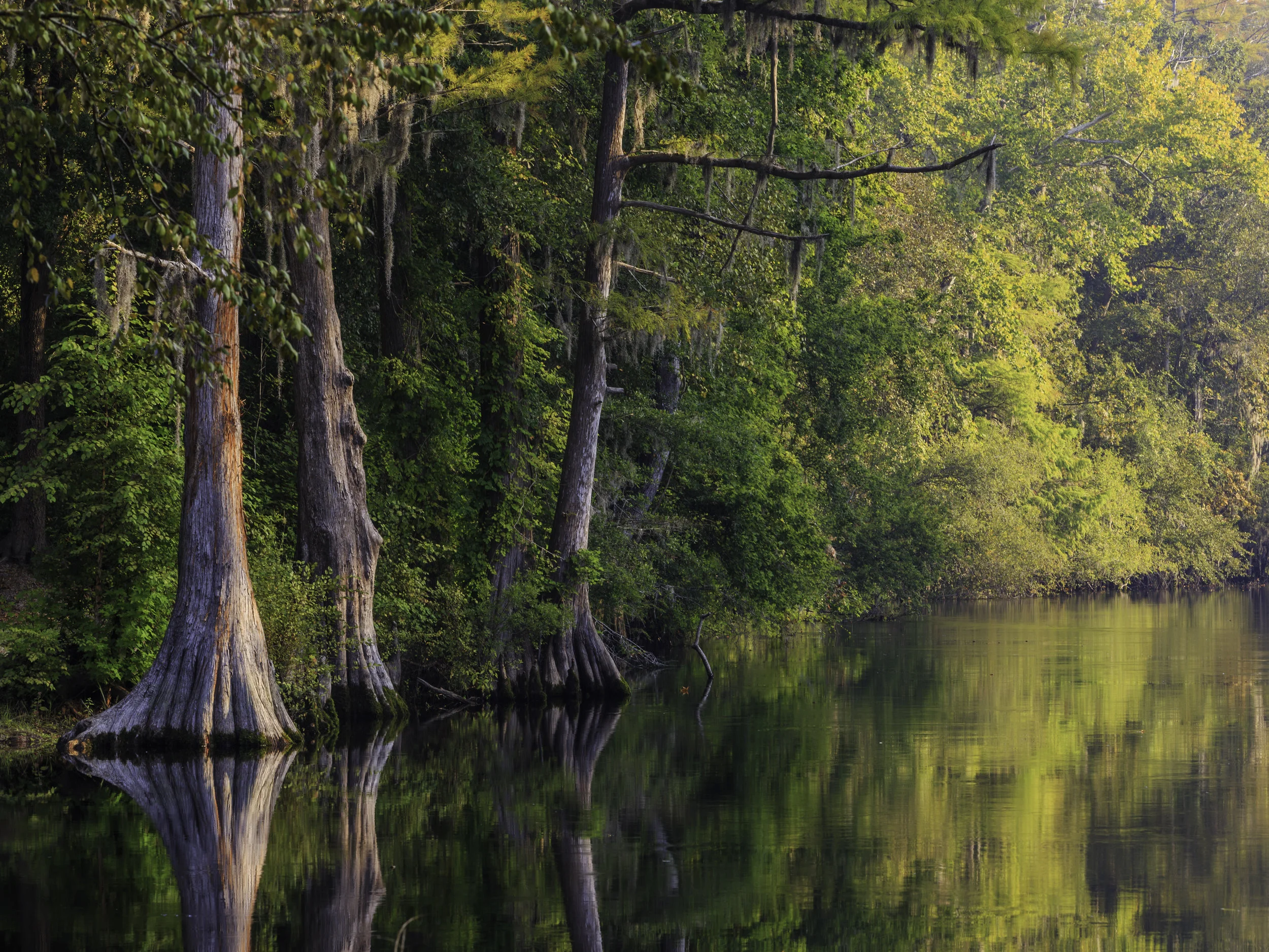Lumber River, Sentinels