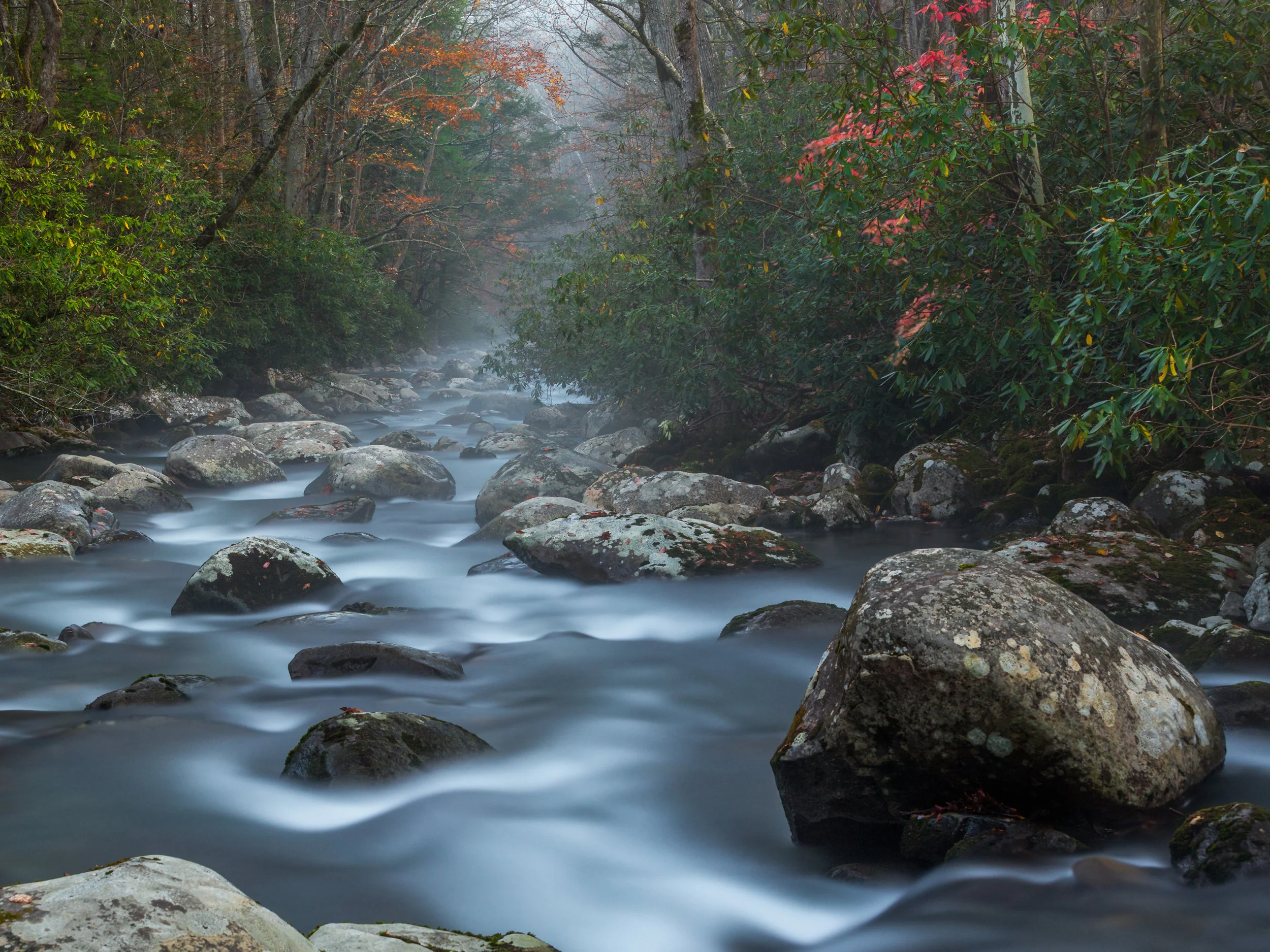 Greenbrier River, Tennessee