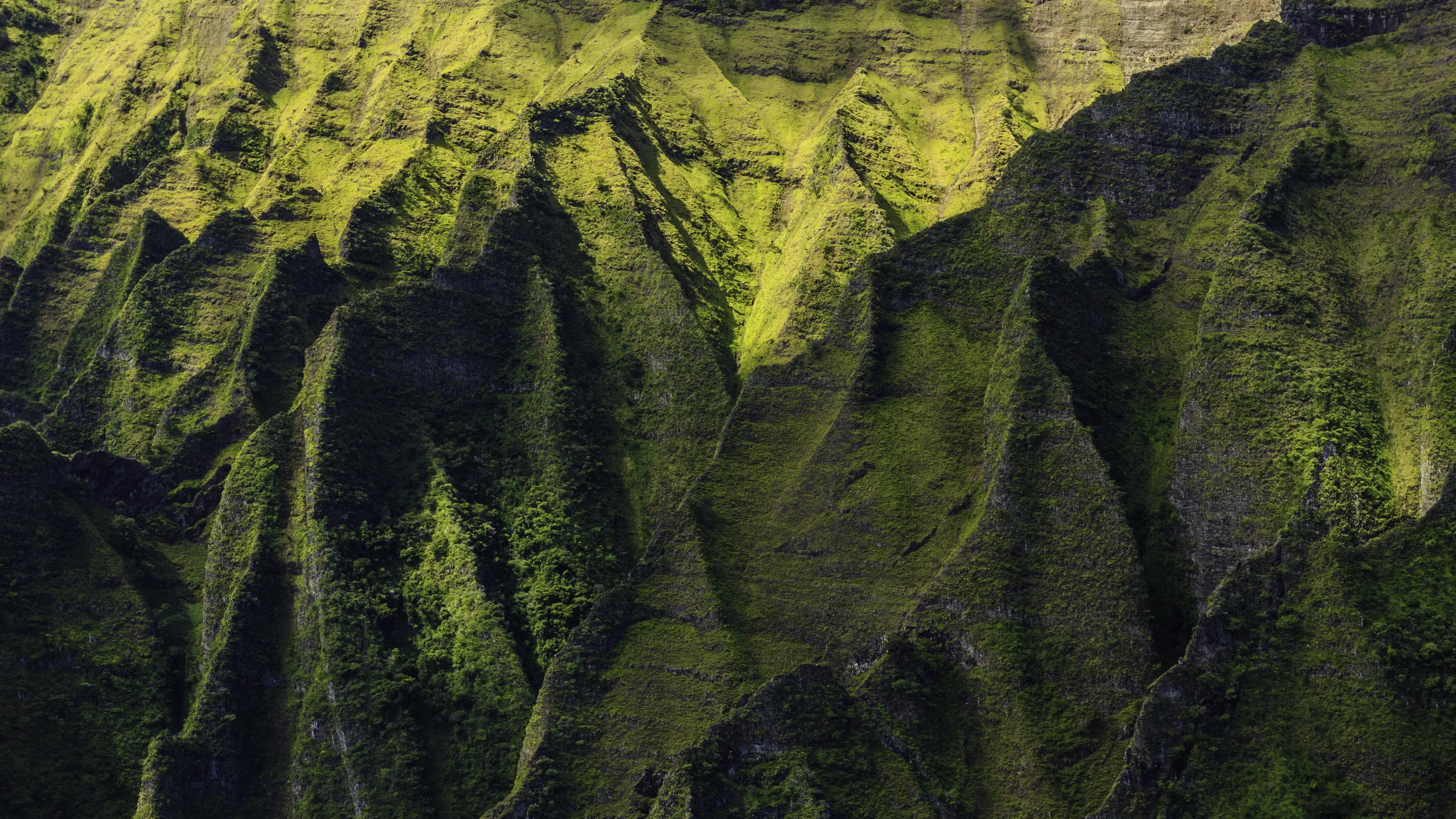 Nepali Coast © Andrew Lockwood 2017