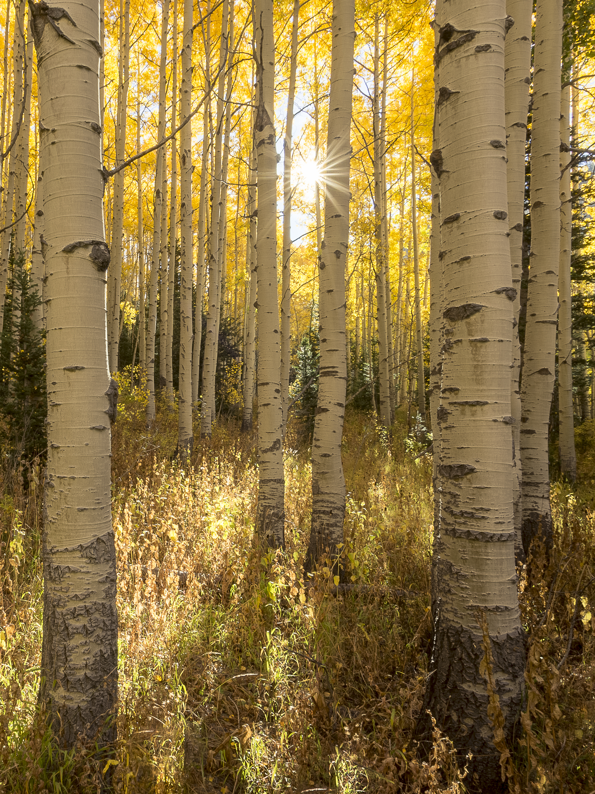IMG_3669-HDR-2.jpg