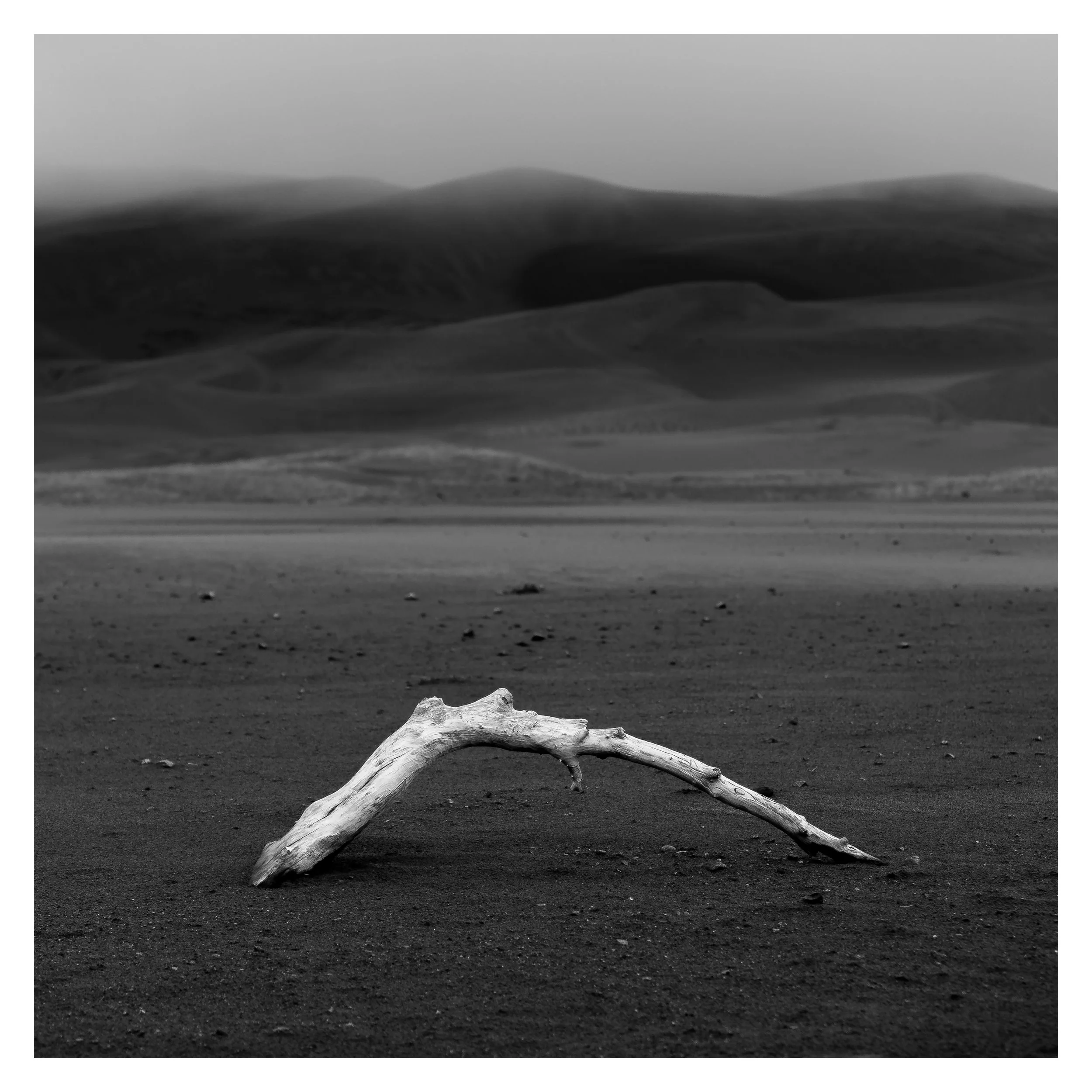 Dust To Dust © Andrew Lockwood 2017