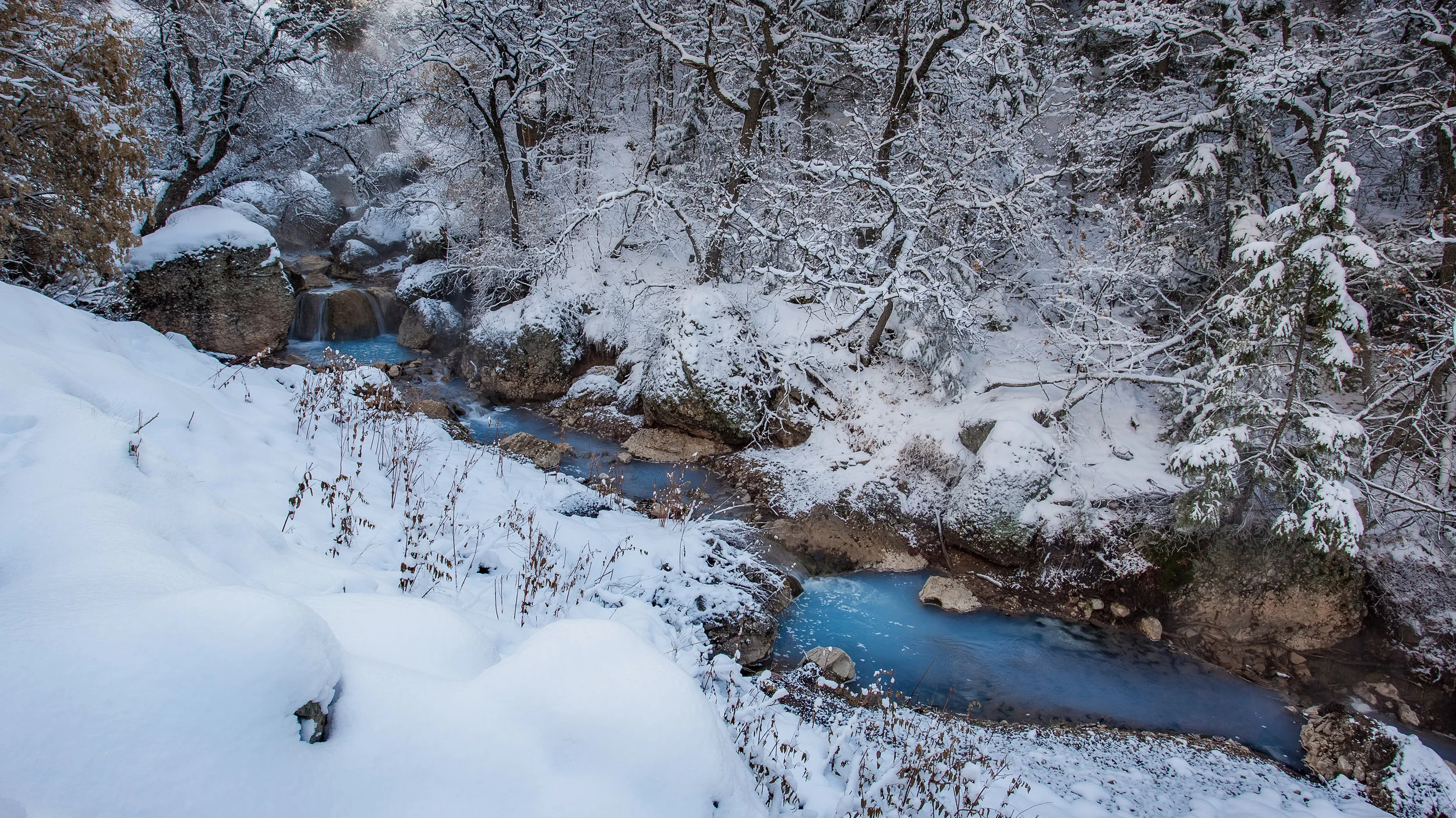 _MG_4991-HDR.jpg