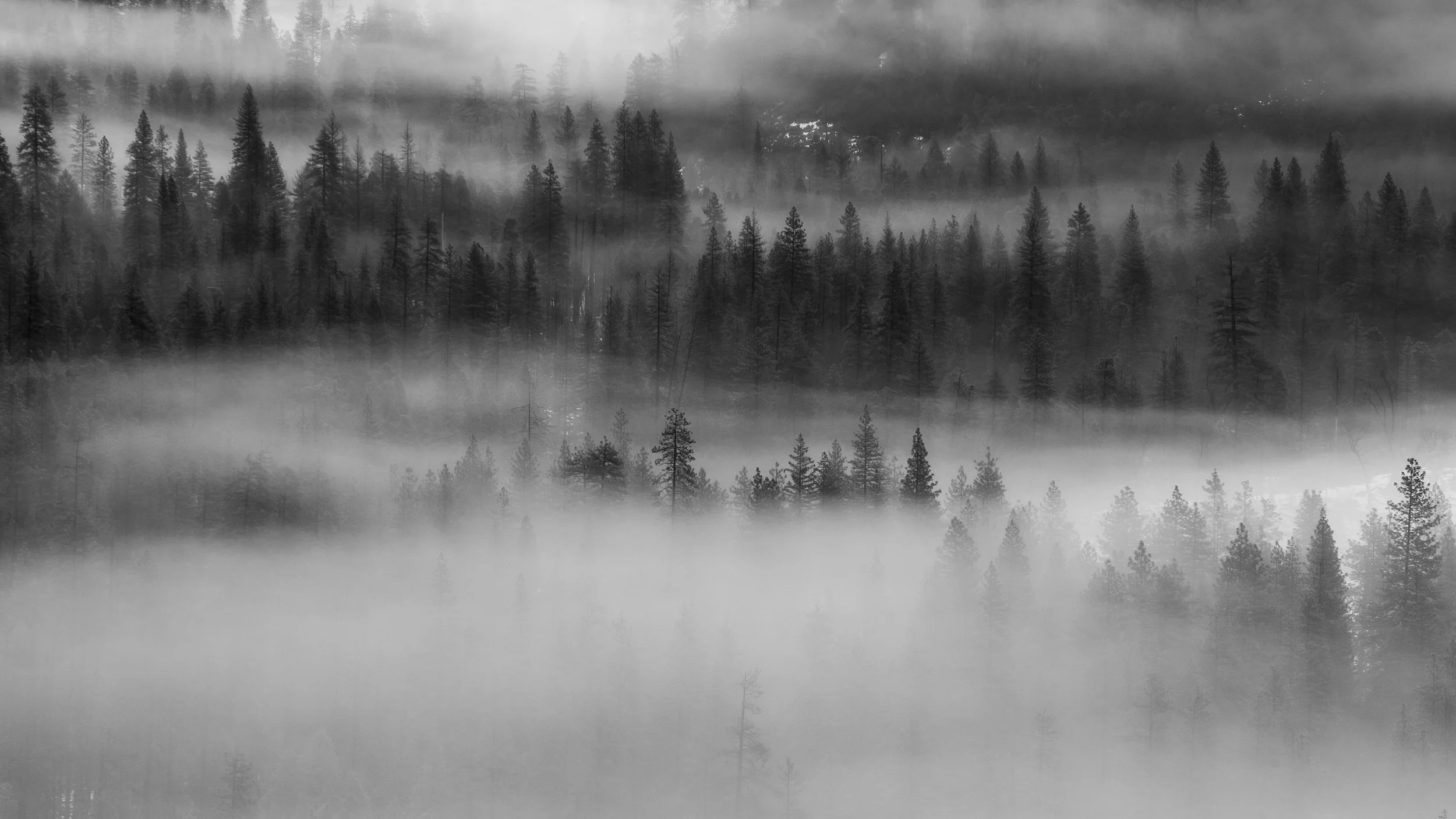 _MG_6187.jpg