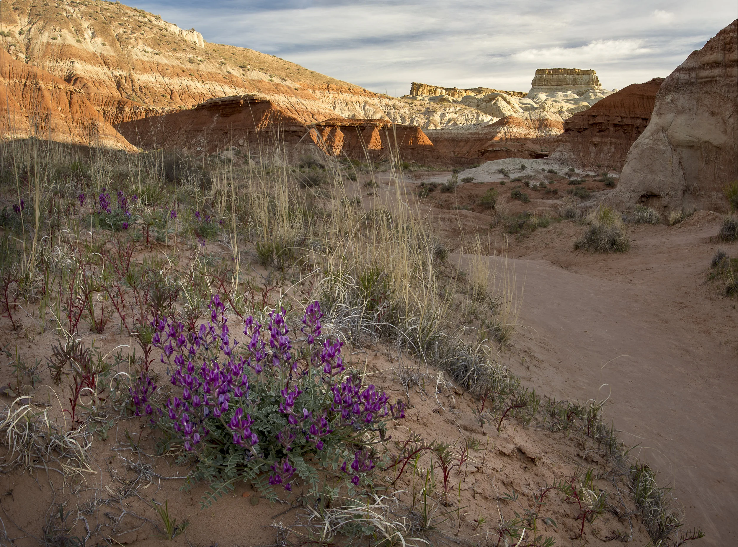 _MG_6865-HDR.jpg
