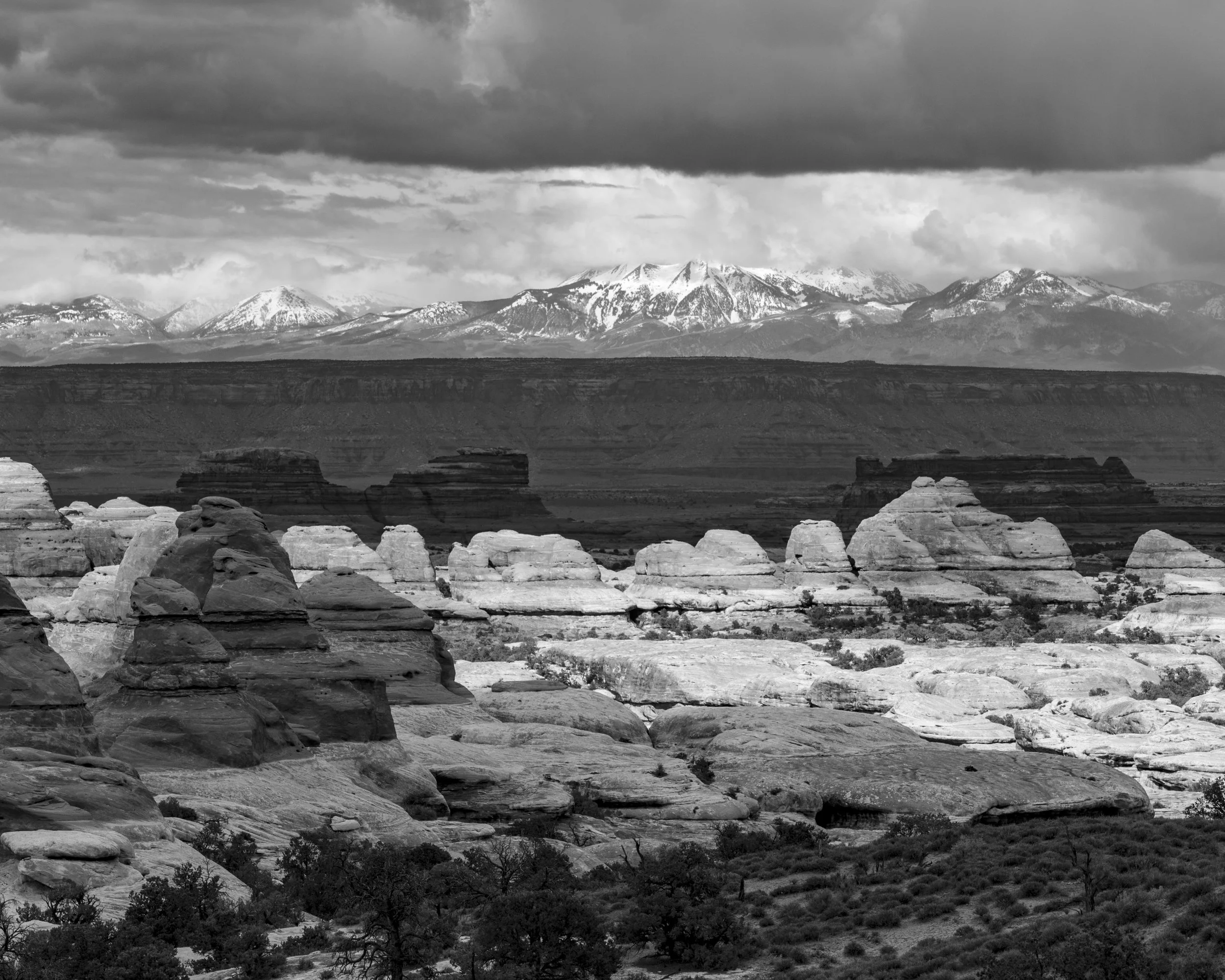 _MG_8247.jpg