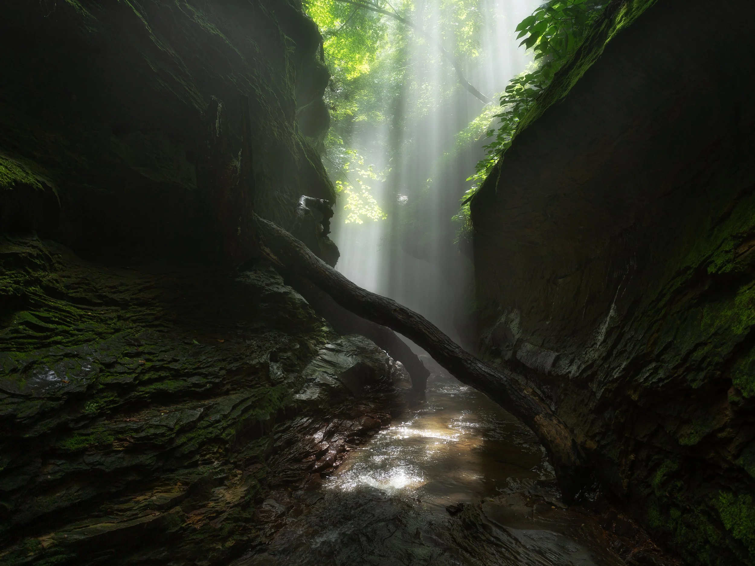 Shroud Of Rivendell