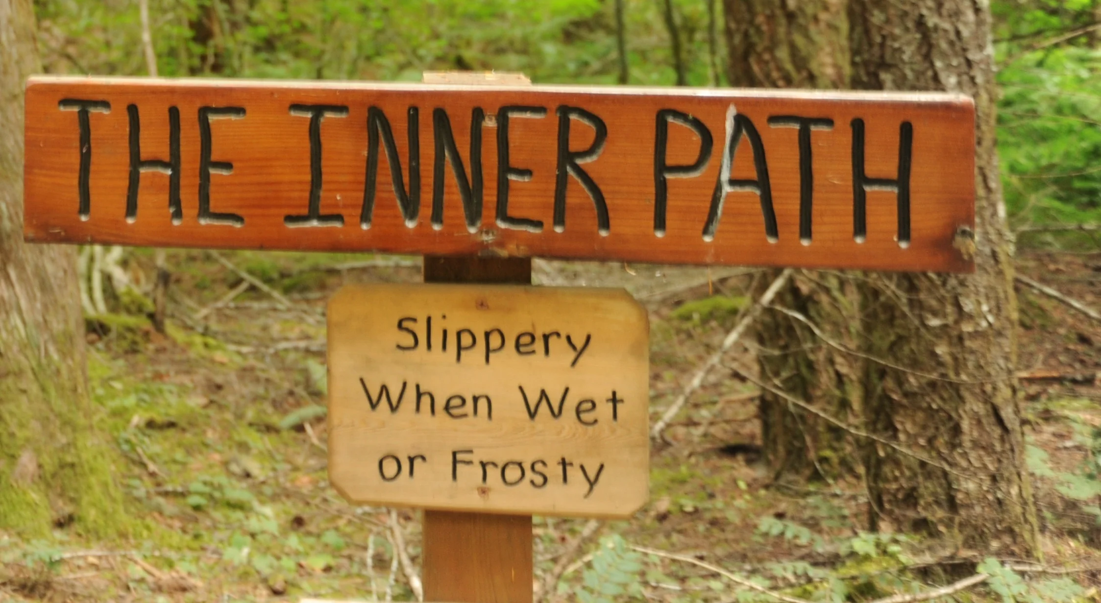 Caution: Slippery When Wet
