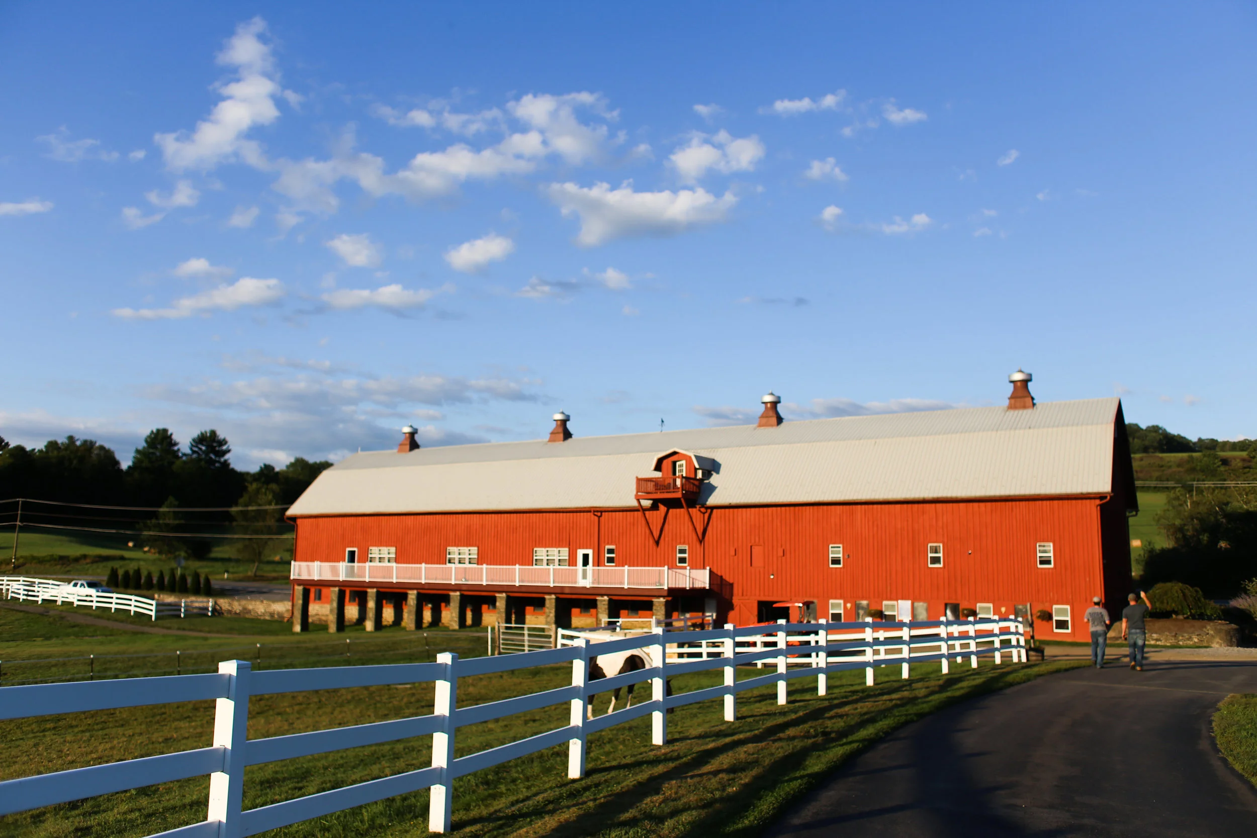 Friedman Farms, Dallas, PA