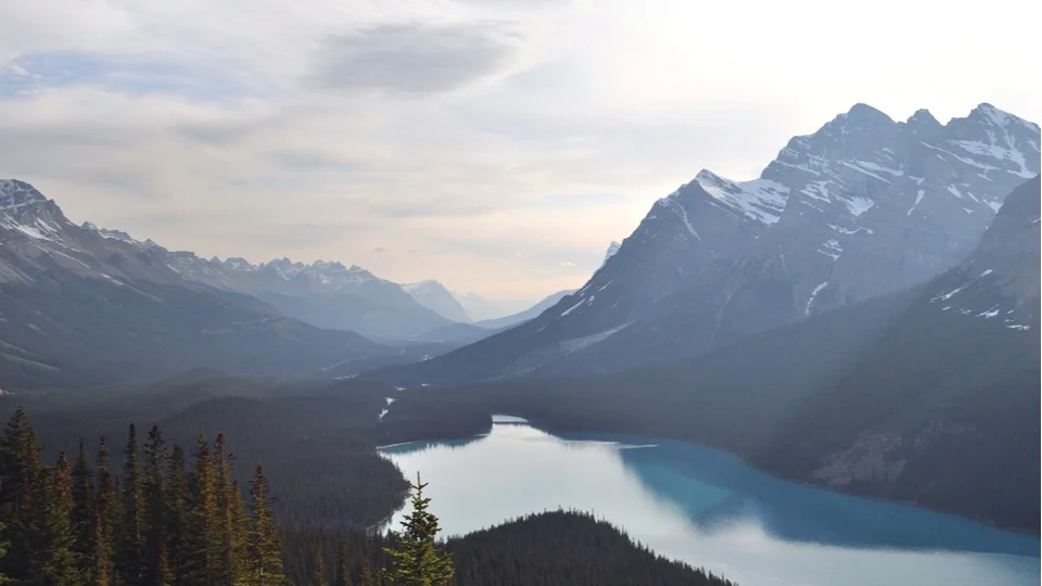 alberta.jpg