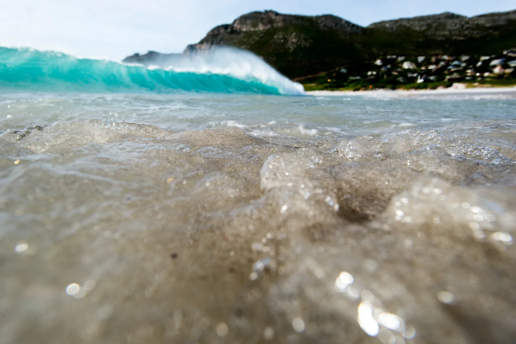 © scott martin-7526.jpg