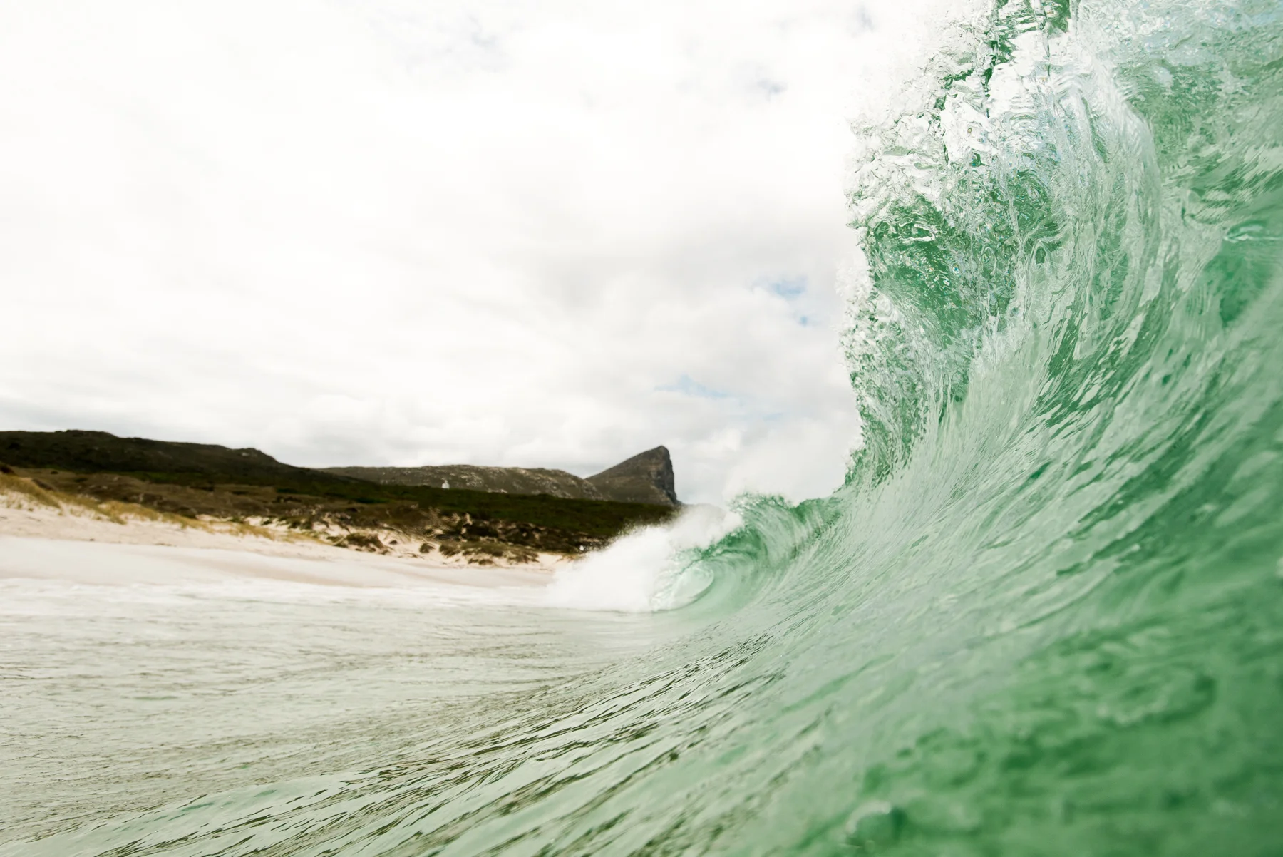© scott martin-8952.jpg