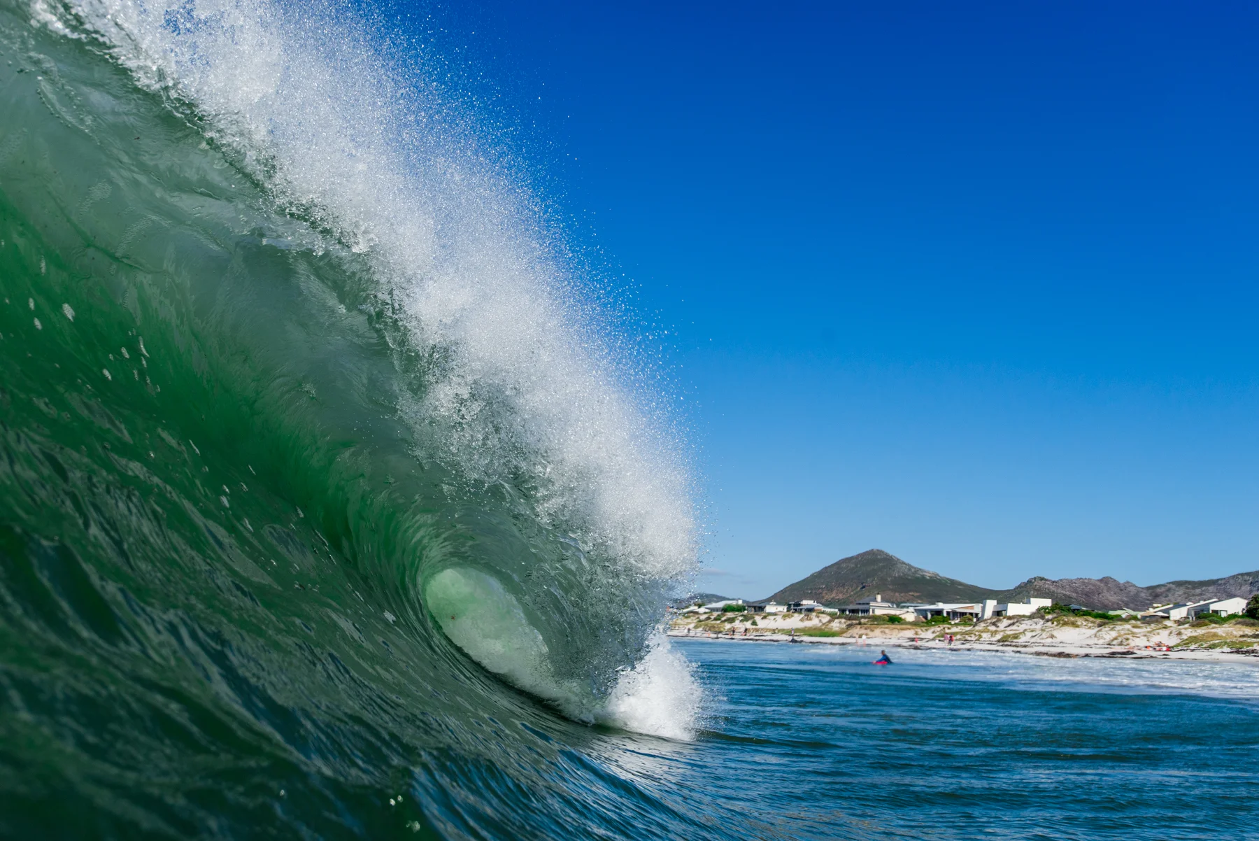 © scott martin-9247.jpg