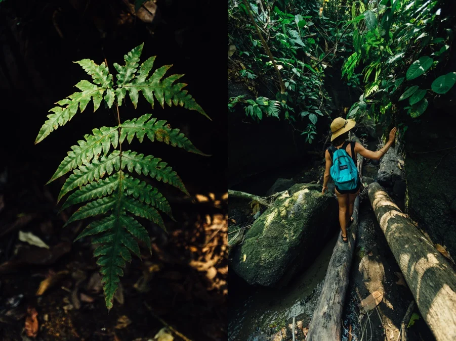 The_Photo_Fram_Costa_Rica_travel_0276.jpg