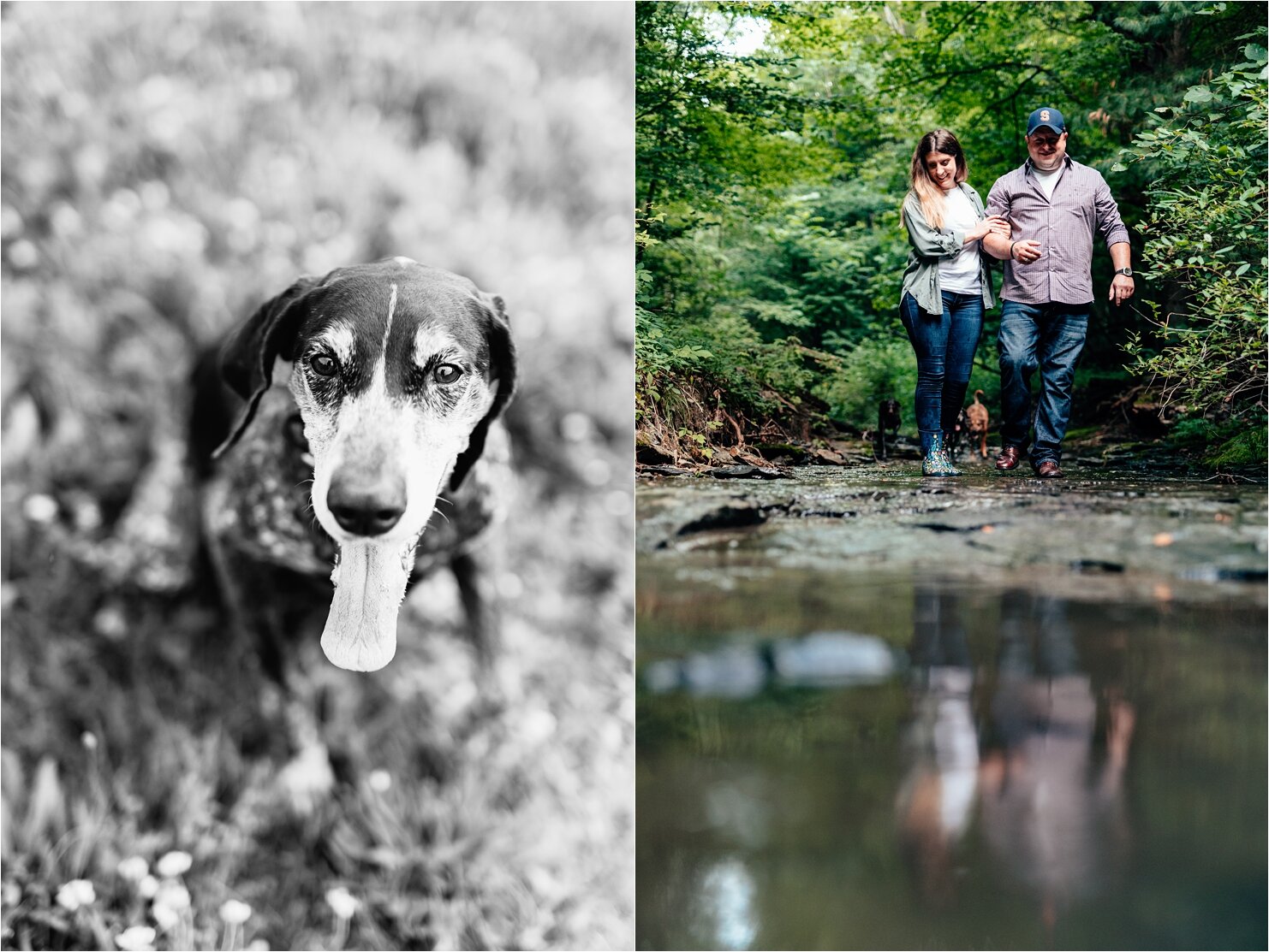 Starr_Dog-Portraiots_New-York_©ThePhotoFarm_0113.jpg