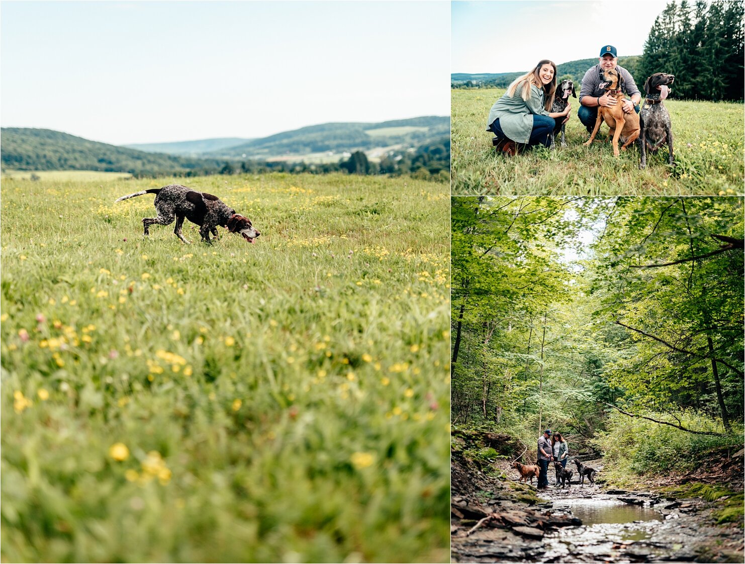 Starr_Dog-Portraiots_New-York_©ThePhotoFarm_0124.jpg