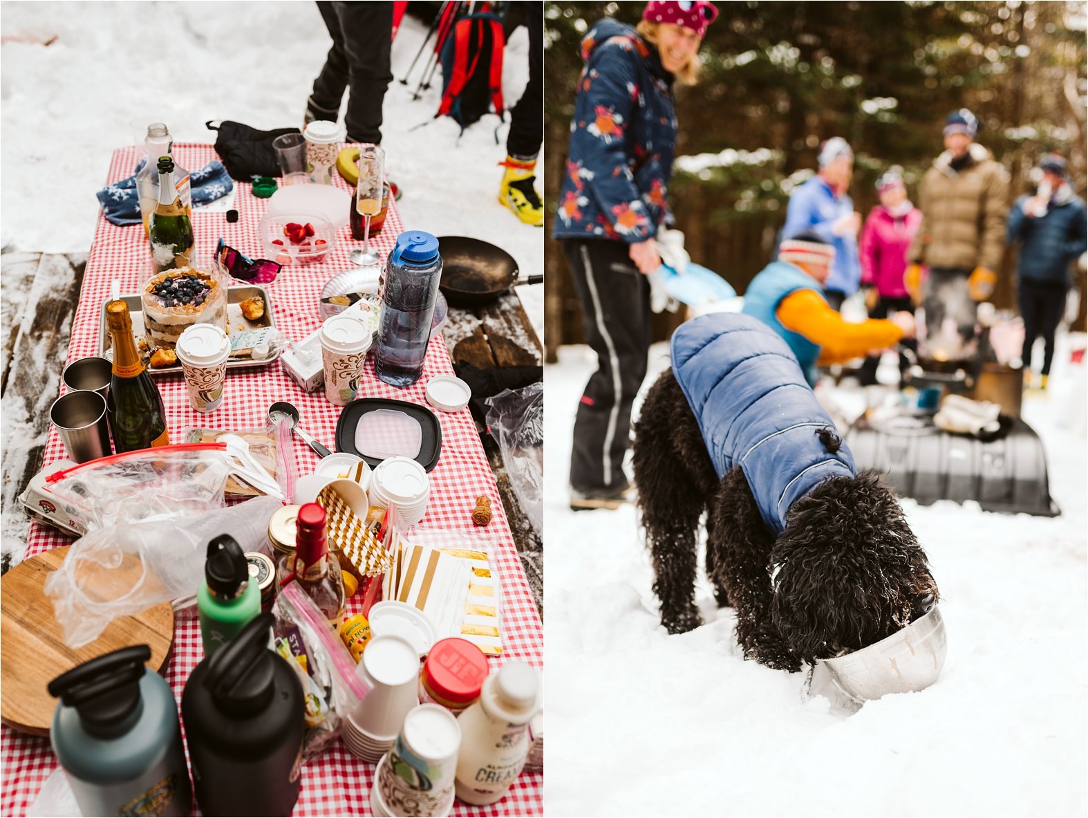 Caitlin&Colin_Ski_Elopment_Adirondacks_NY_0038.jpg