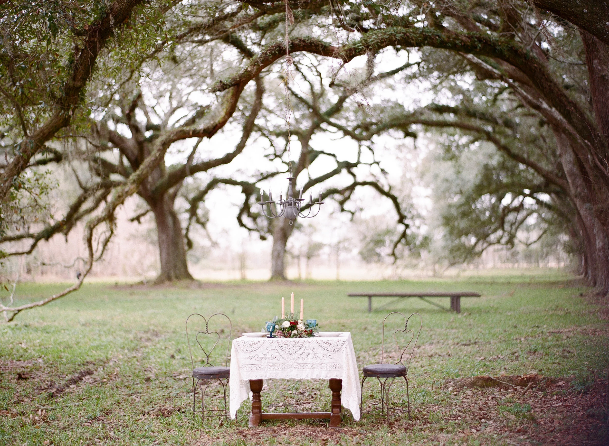 178-PURE_VINTAGE_RENTALS_LOUISIANA.jpg