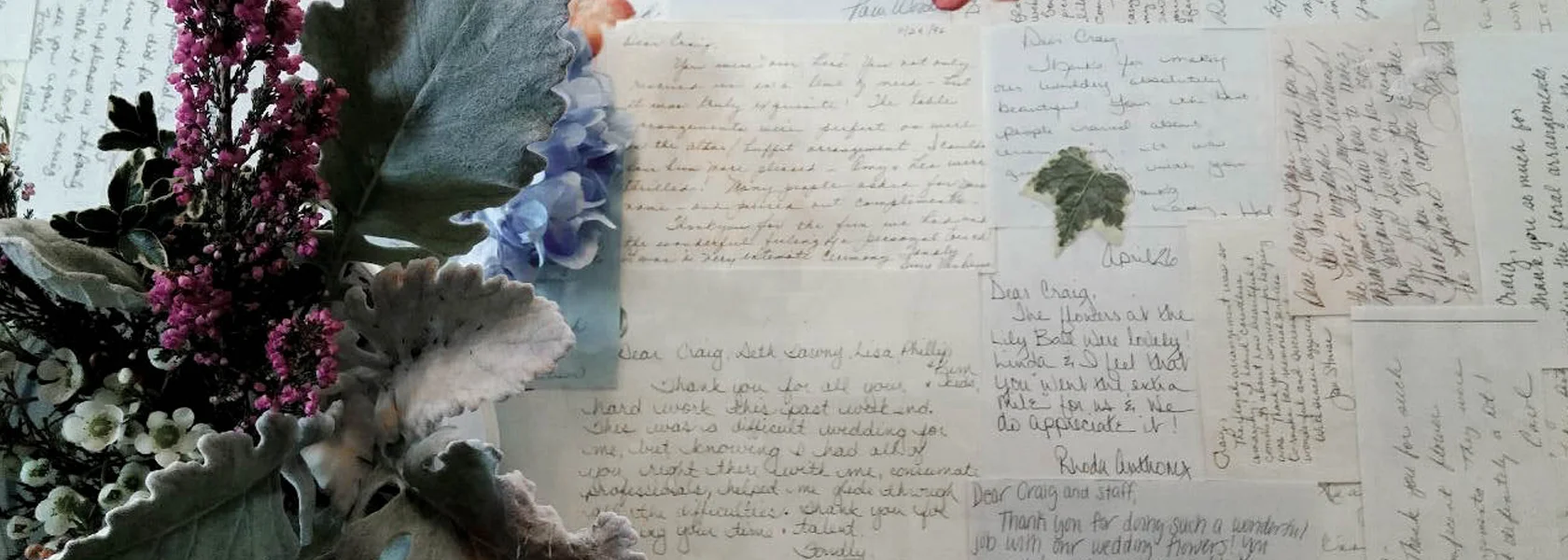 1_0_WordsOfGratitude_1680x600_banner.jpg